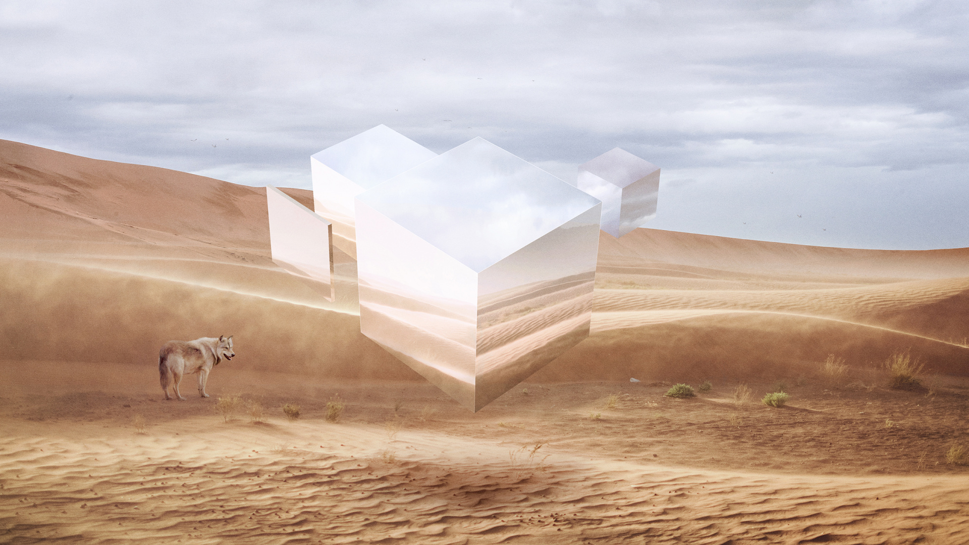 Куб в пустыне