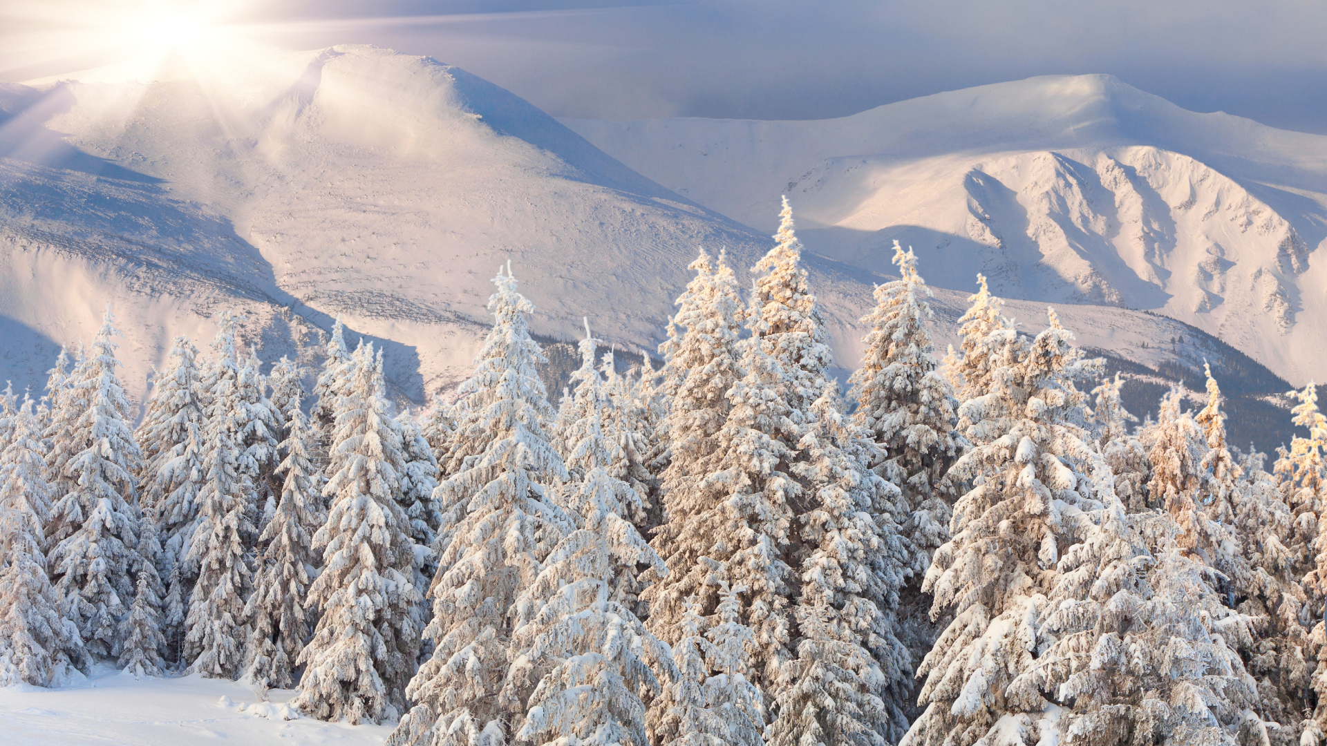 красивые фото с гор зимой