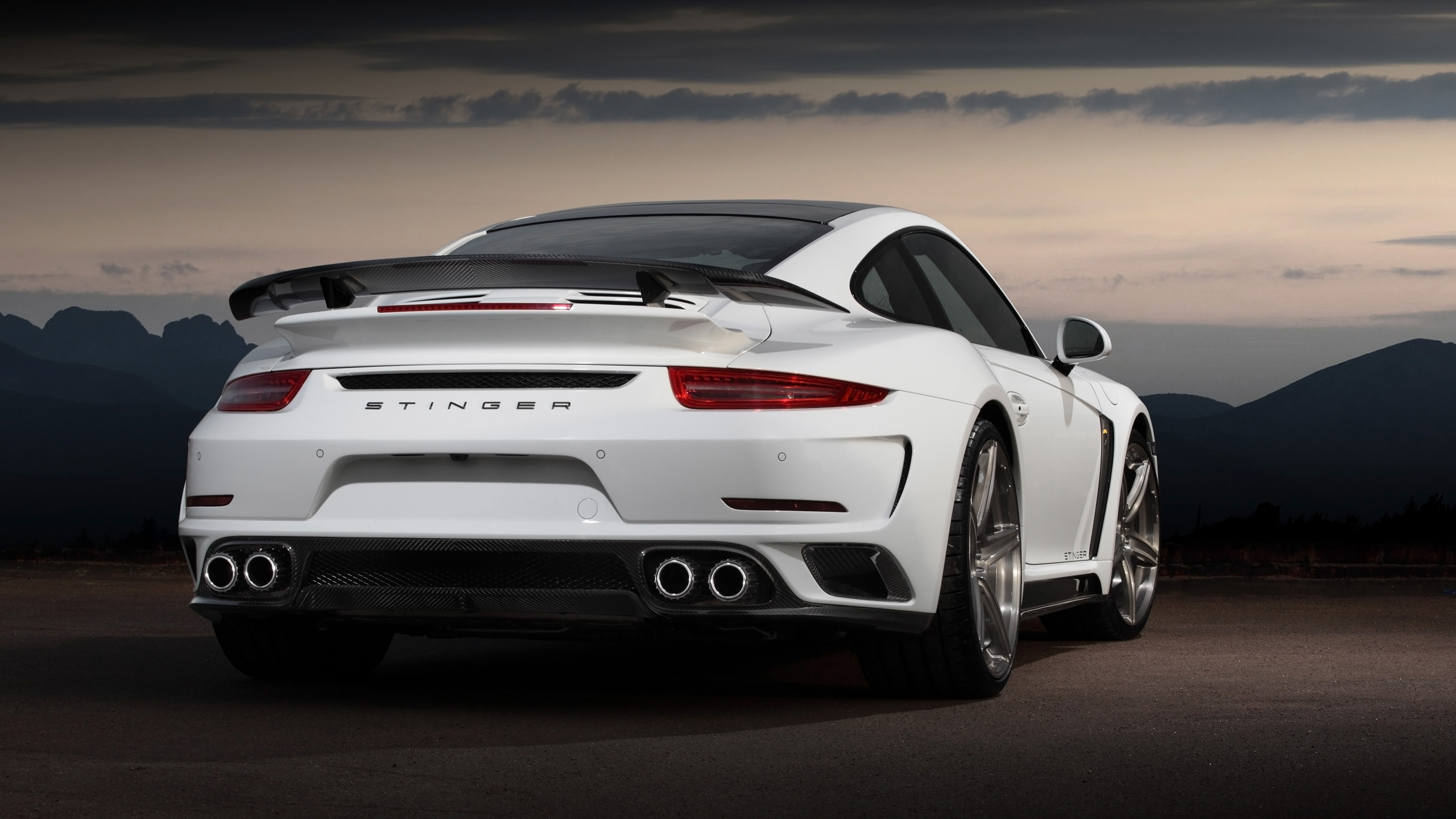 Porsche 911 Turbo Stinger