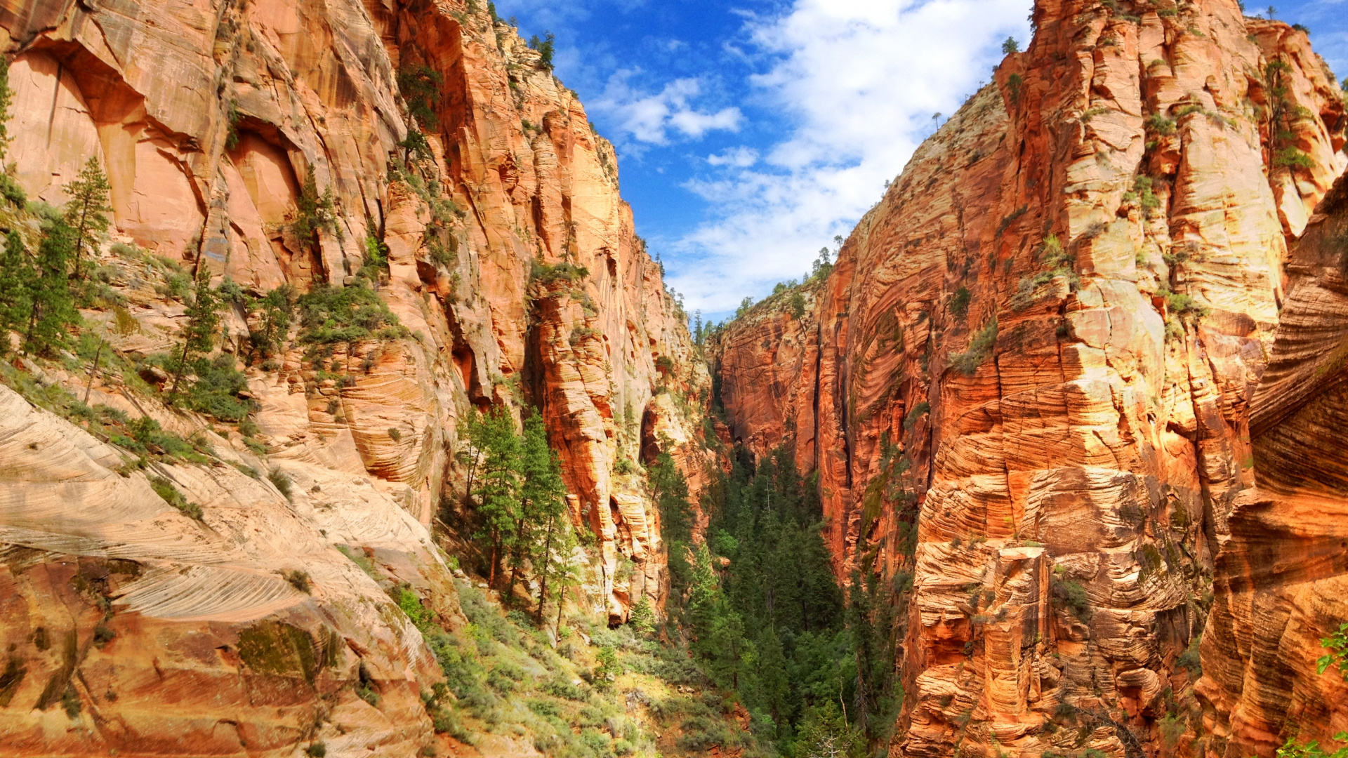 Zion National Park водопад