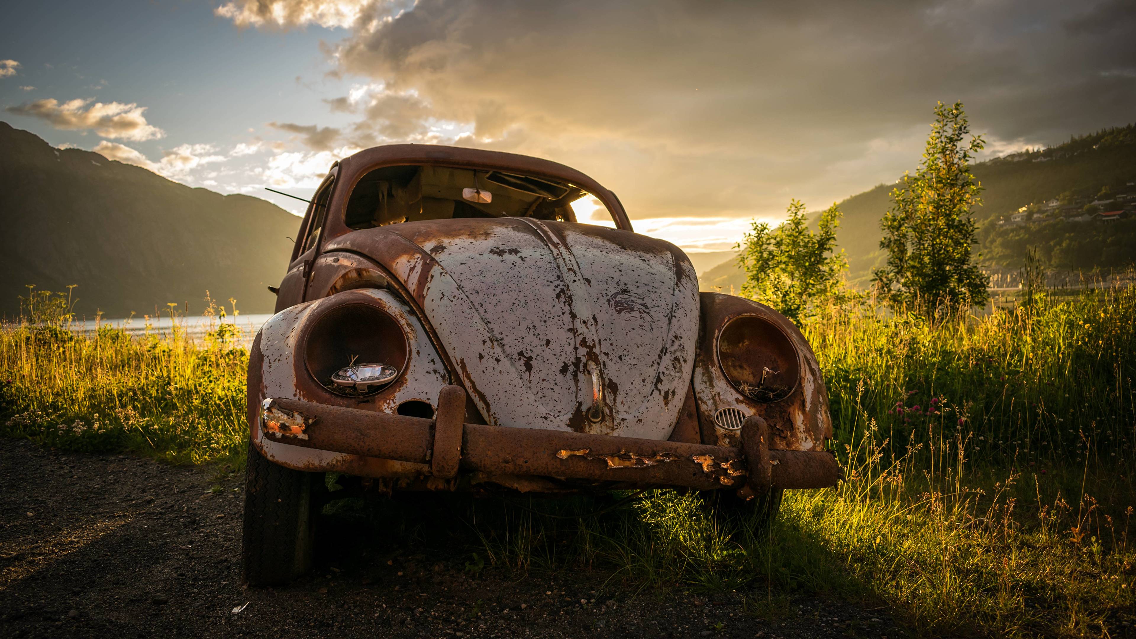 4k VW Beetle