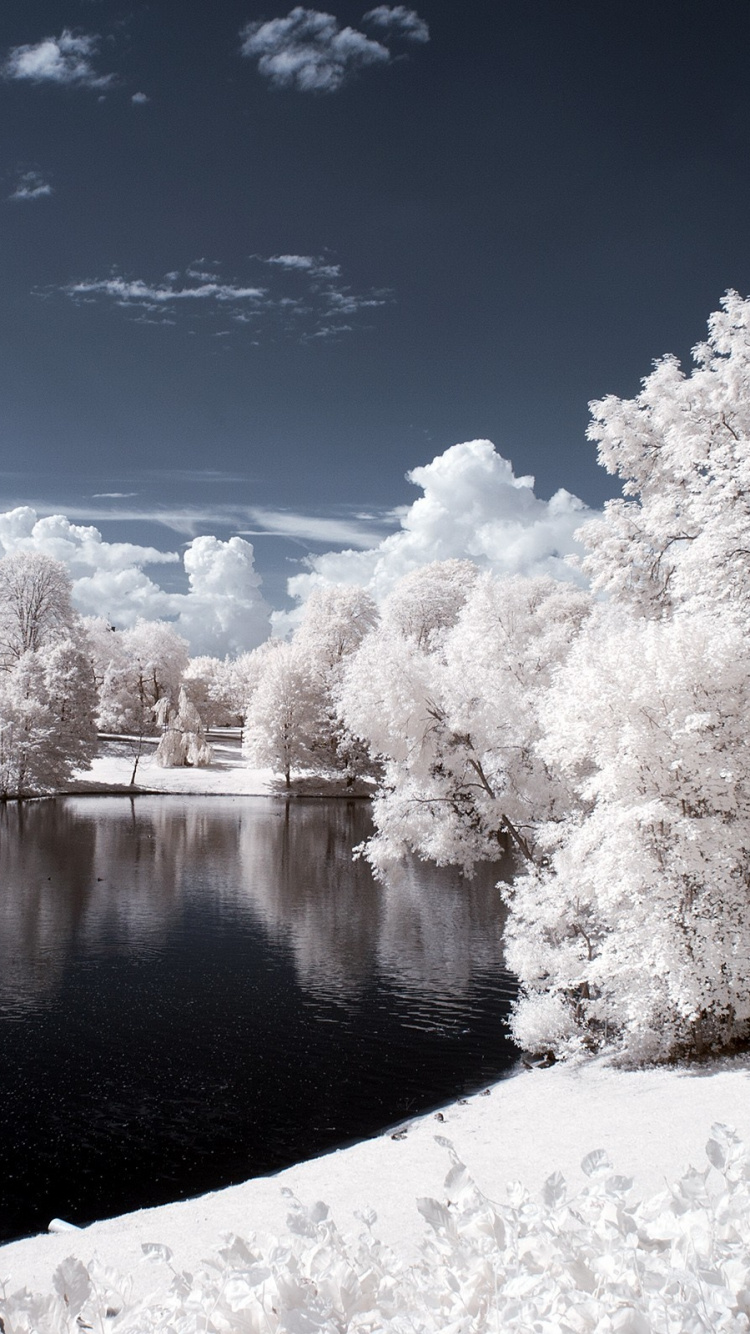 Инфракрасная фотография зимой