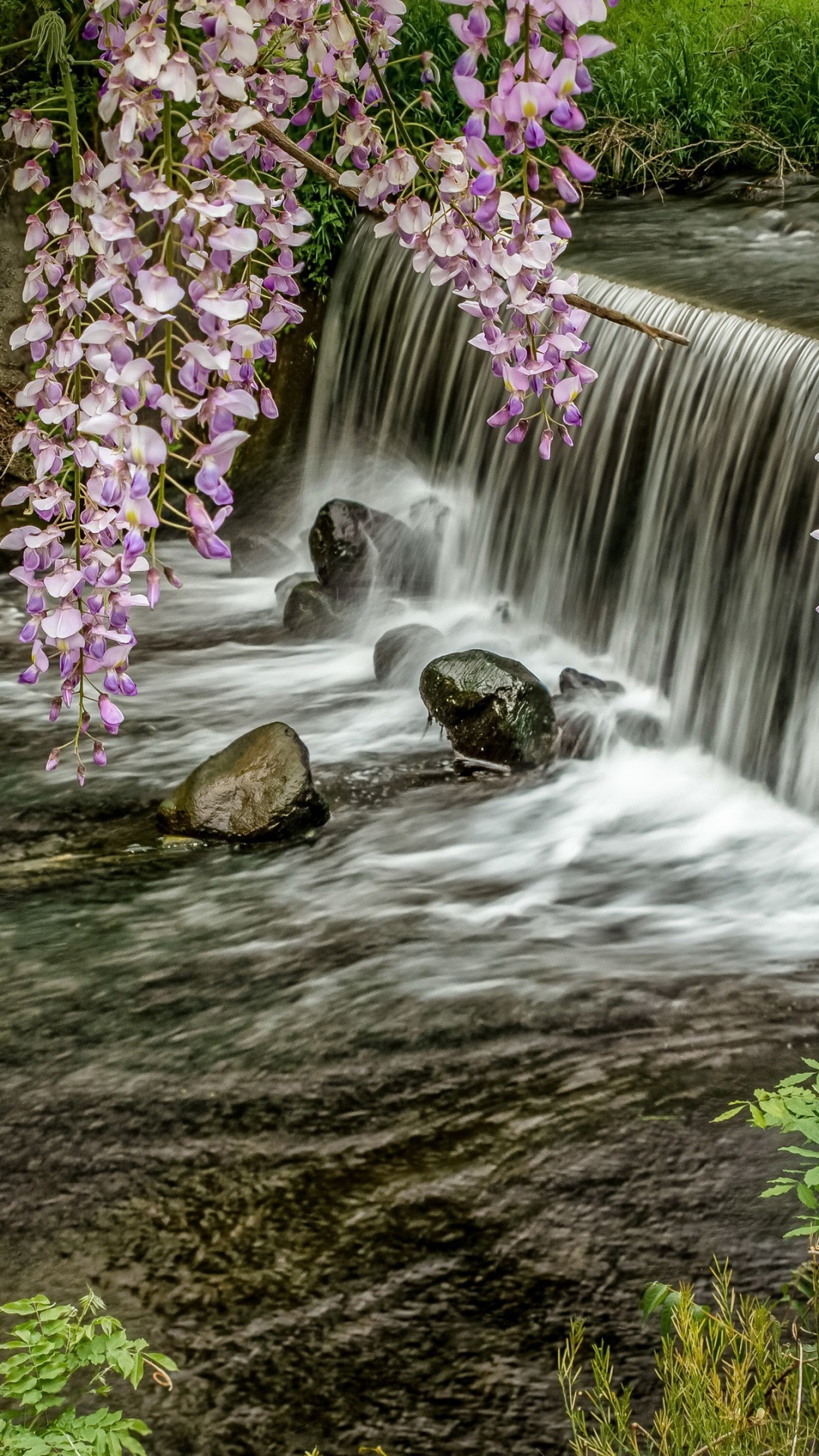 Закачать ее на телефон. Река Амазонка водопады. Природа водопад цветы. Весенний водопад. Живая природа водопады.