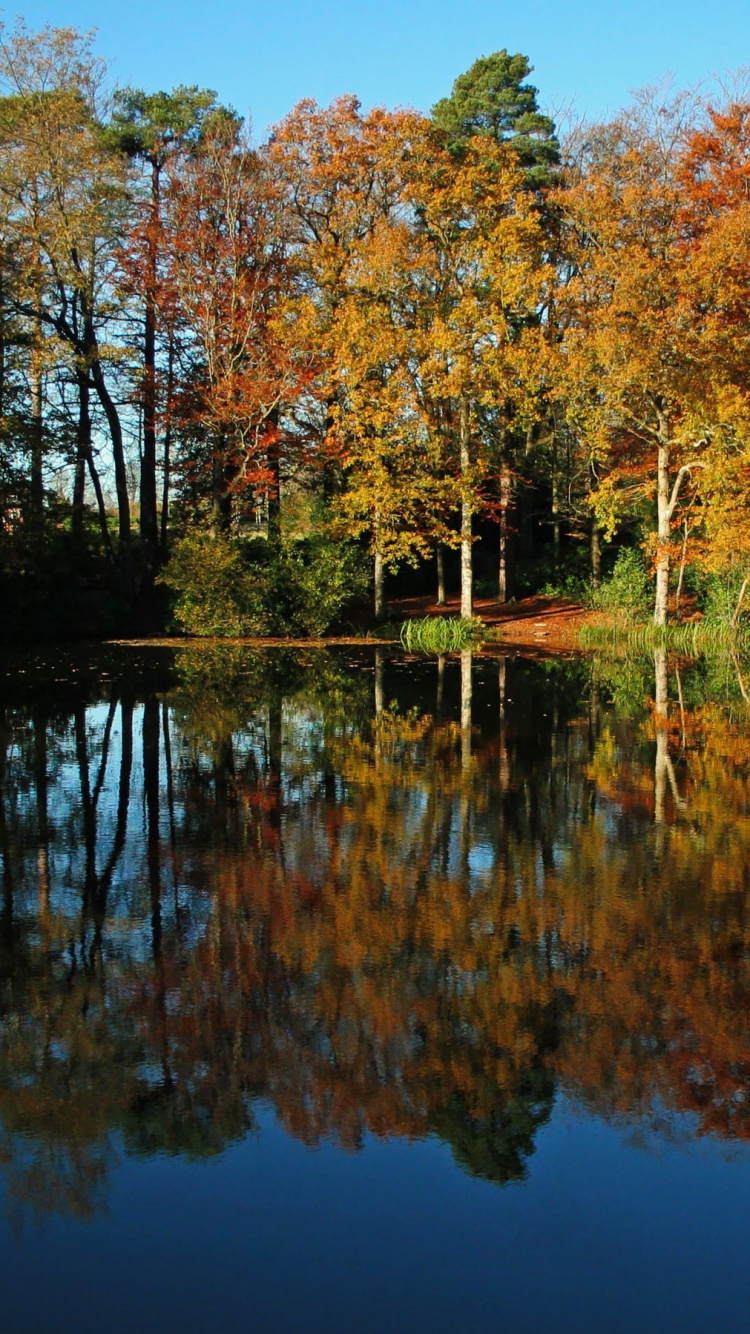 Отражение Осени В Воде Фото