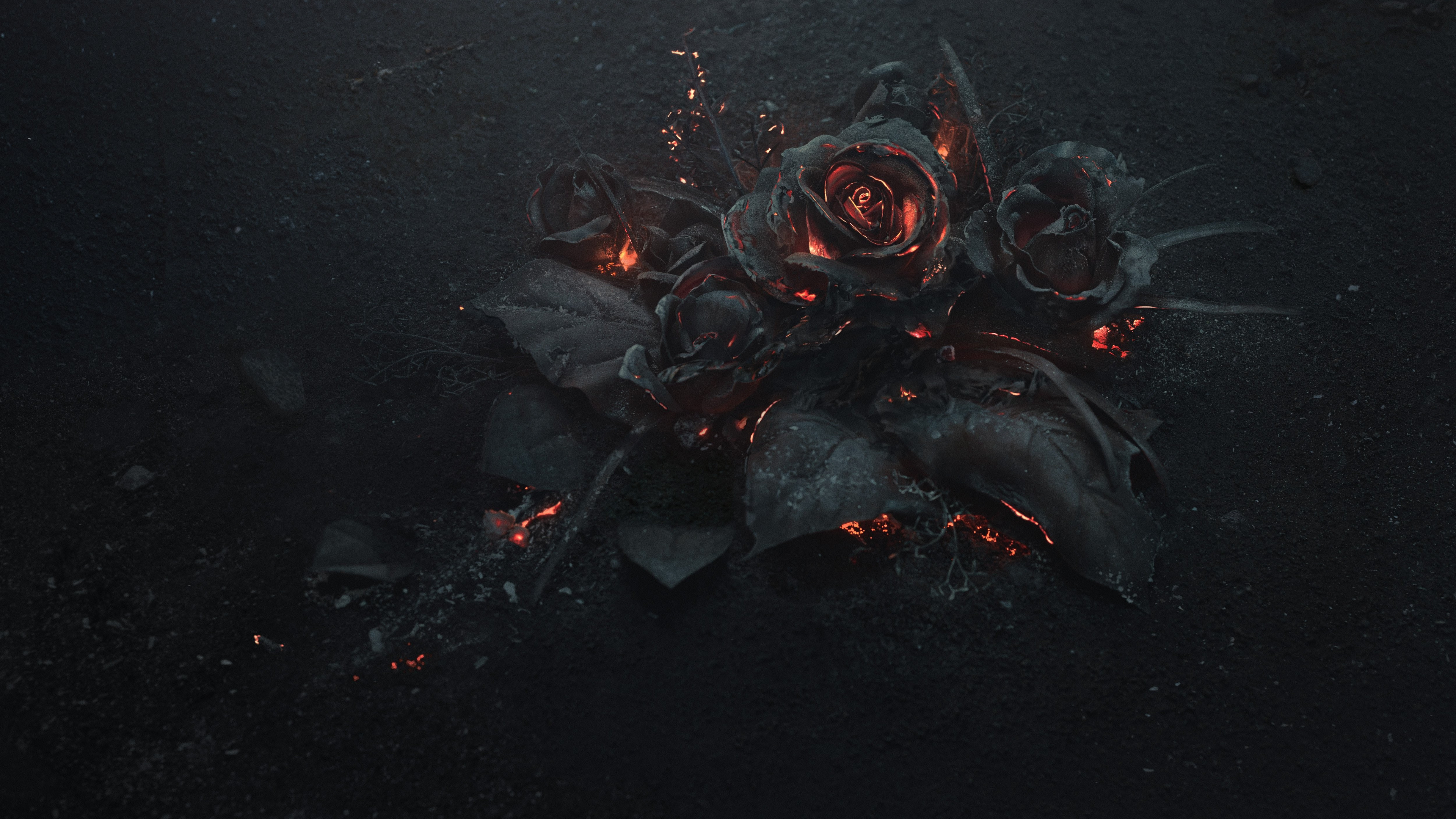 Темно алые розы а на душе лишь. Dark aesthetic. Розэ.