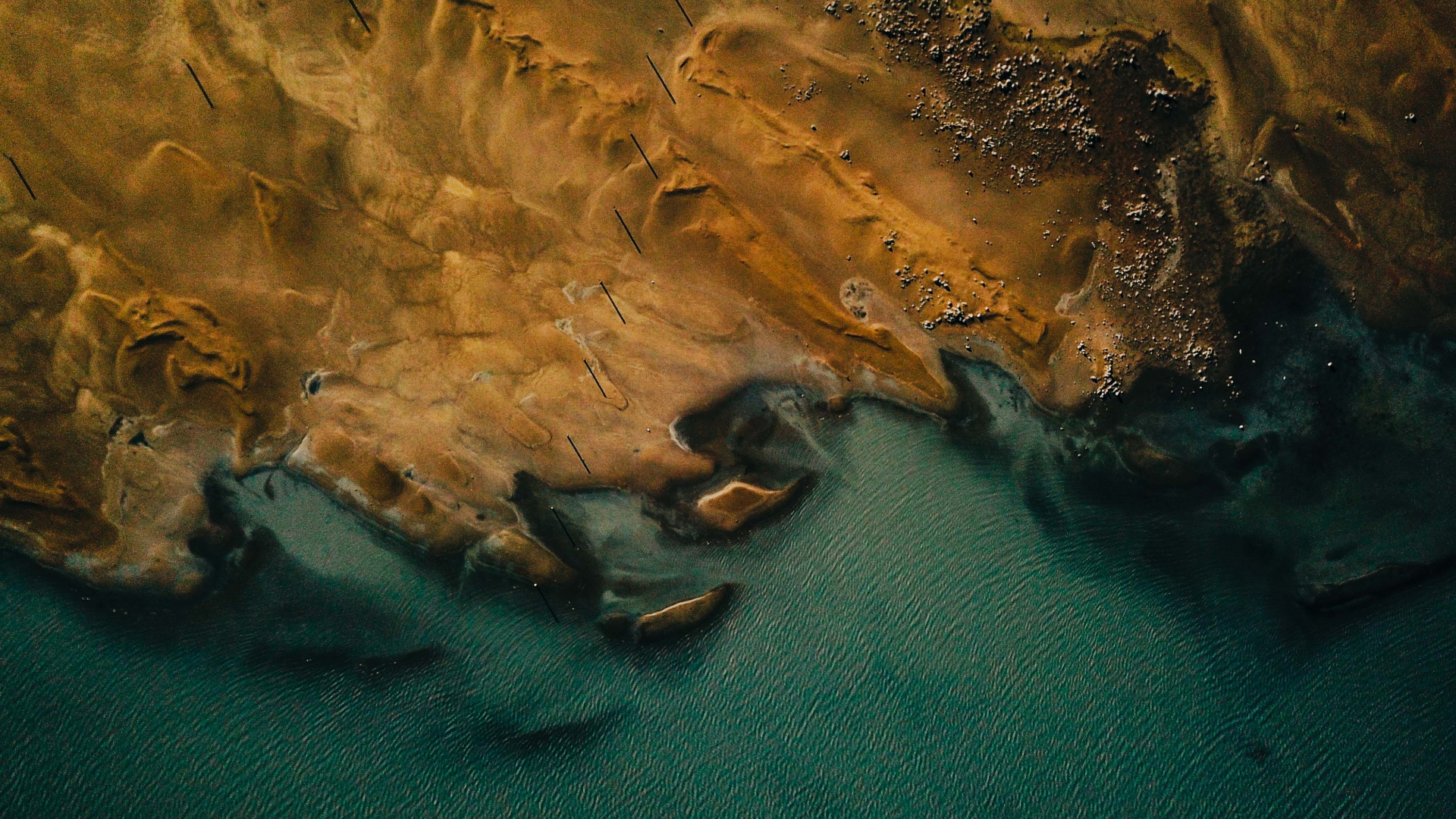 Коричневое море