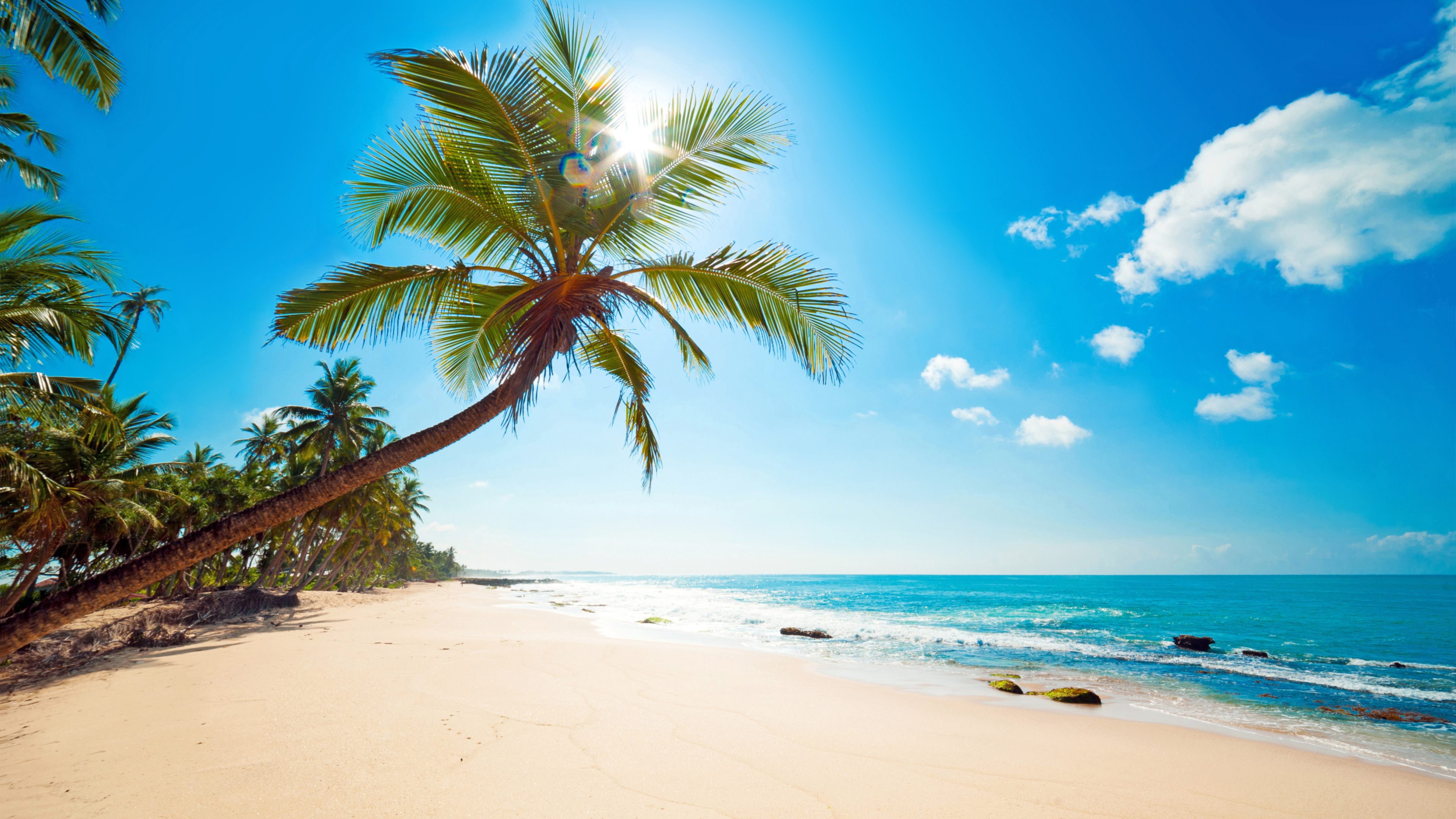 Картинка Beach