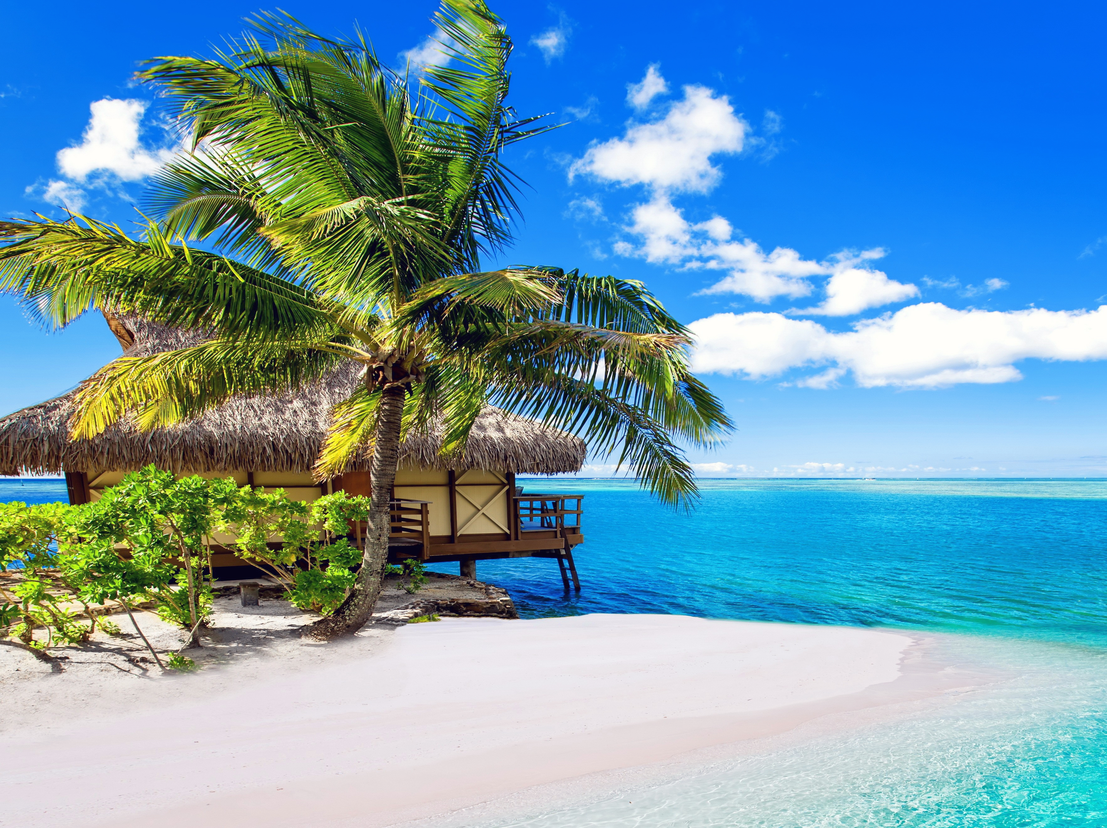 Покажи красивый пляж. Парадиз остров Карибского моря море. Остров Парадайз Карибы. Бунгало на Карибах. Канары, Карибы, Мальдивы, Сейшелы..