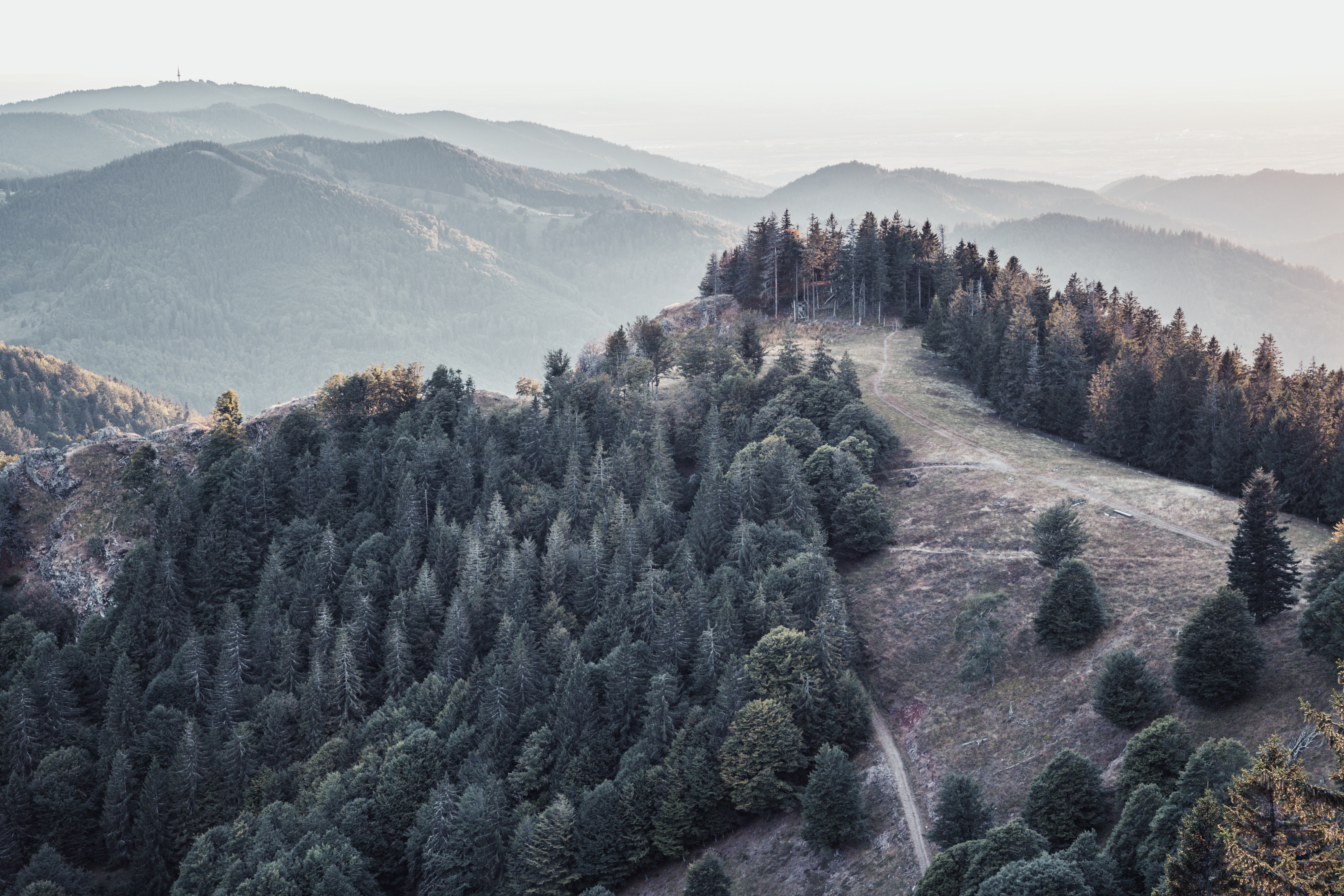 Unsplash Бесплатно