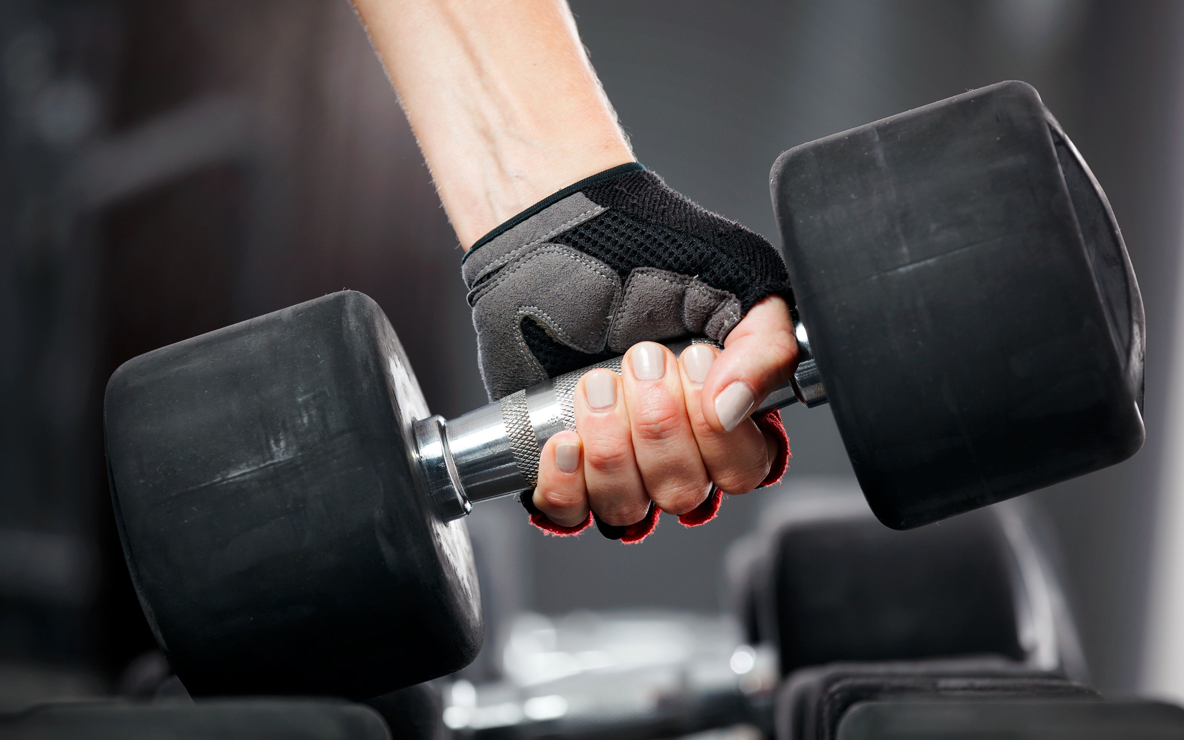 Gym заставка