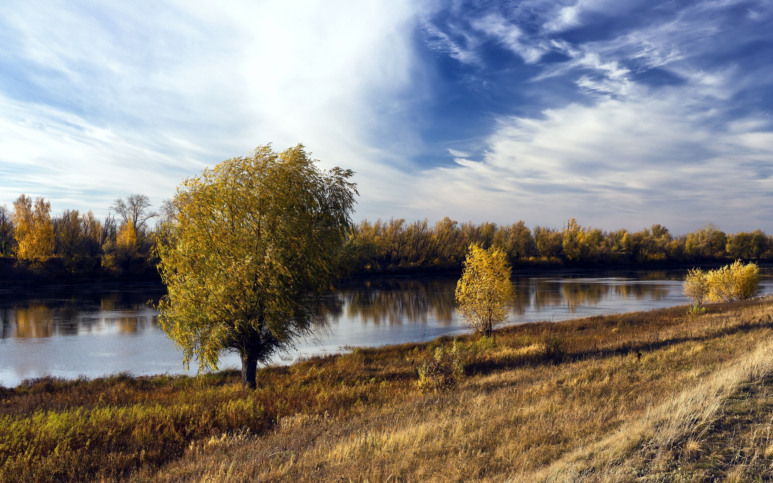 Родной река. Пейзажи России. Осень в России. Река поле осень. Лес поле река.