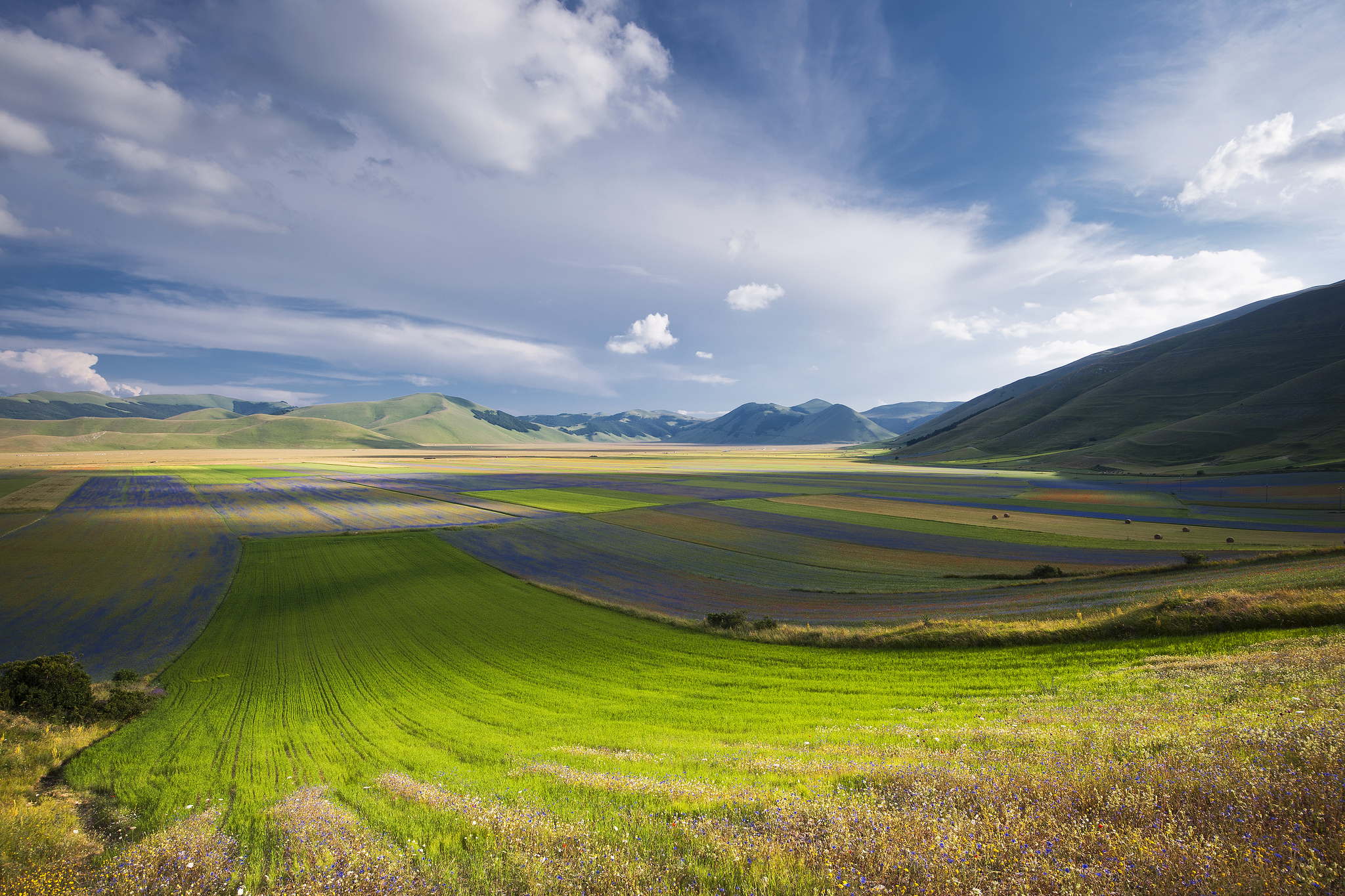 Волнистая равнина фото