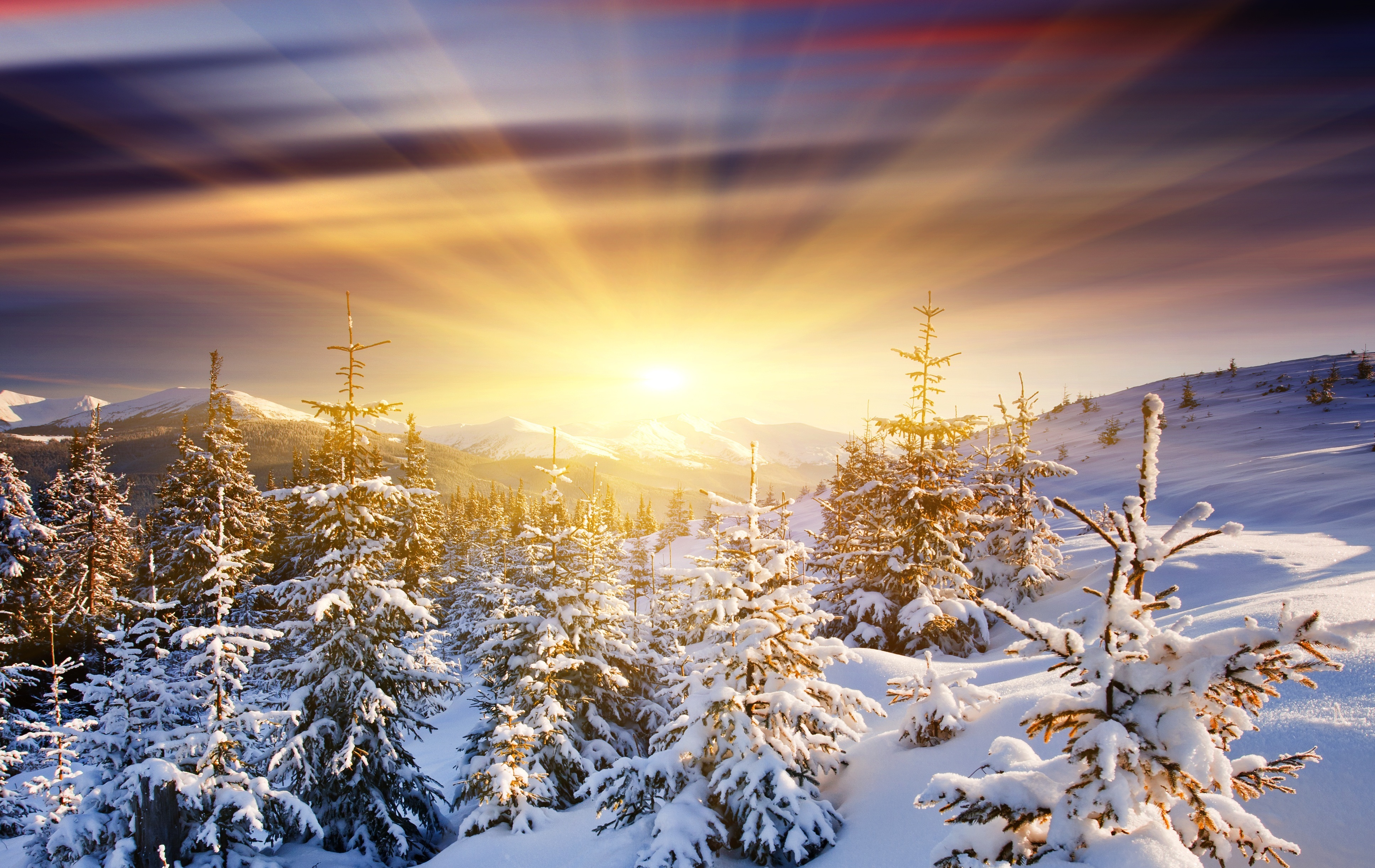 Обои восход солнца, зима, снег, природа, природный ландшафт - картинка на  рабочий стол и фото бесплатно