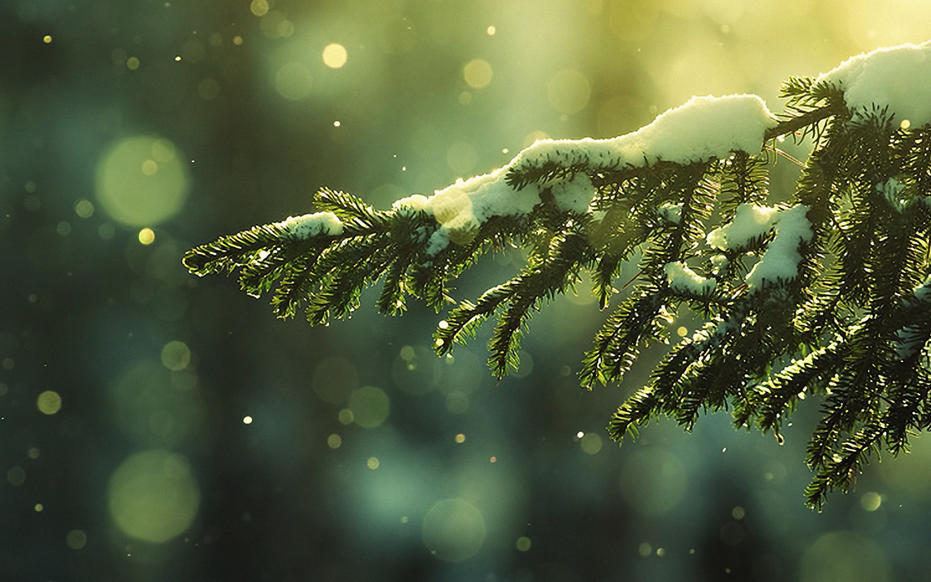 Christmas Train Live Wallpaper