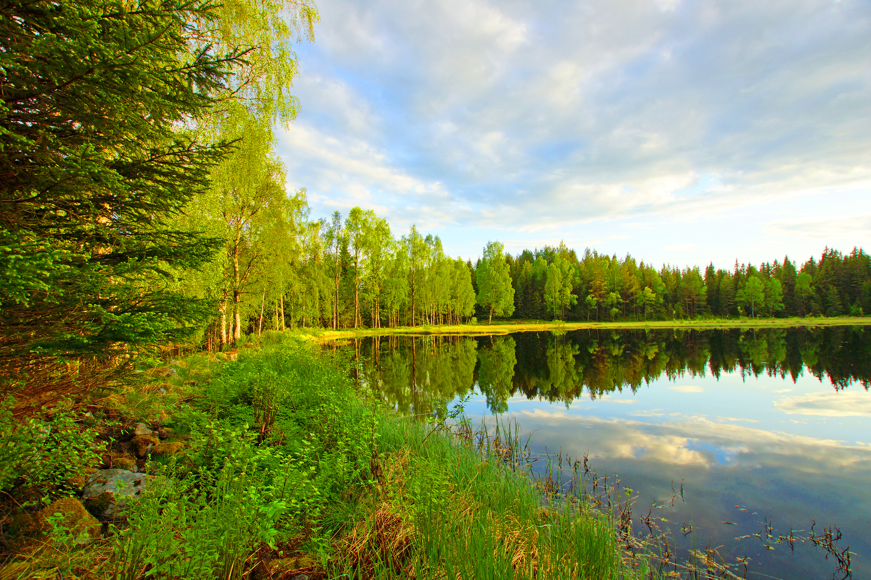 Озеро тянется длинной блистающей полосой. Река Андога. Лесное озеро Истра. Лесное (озеро, Северная Америка). Лесные озёра средней полосы России.