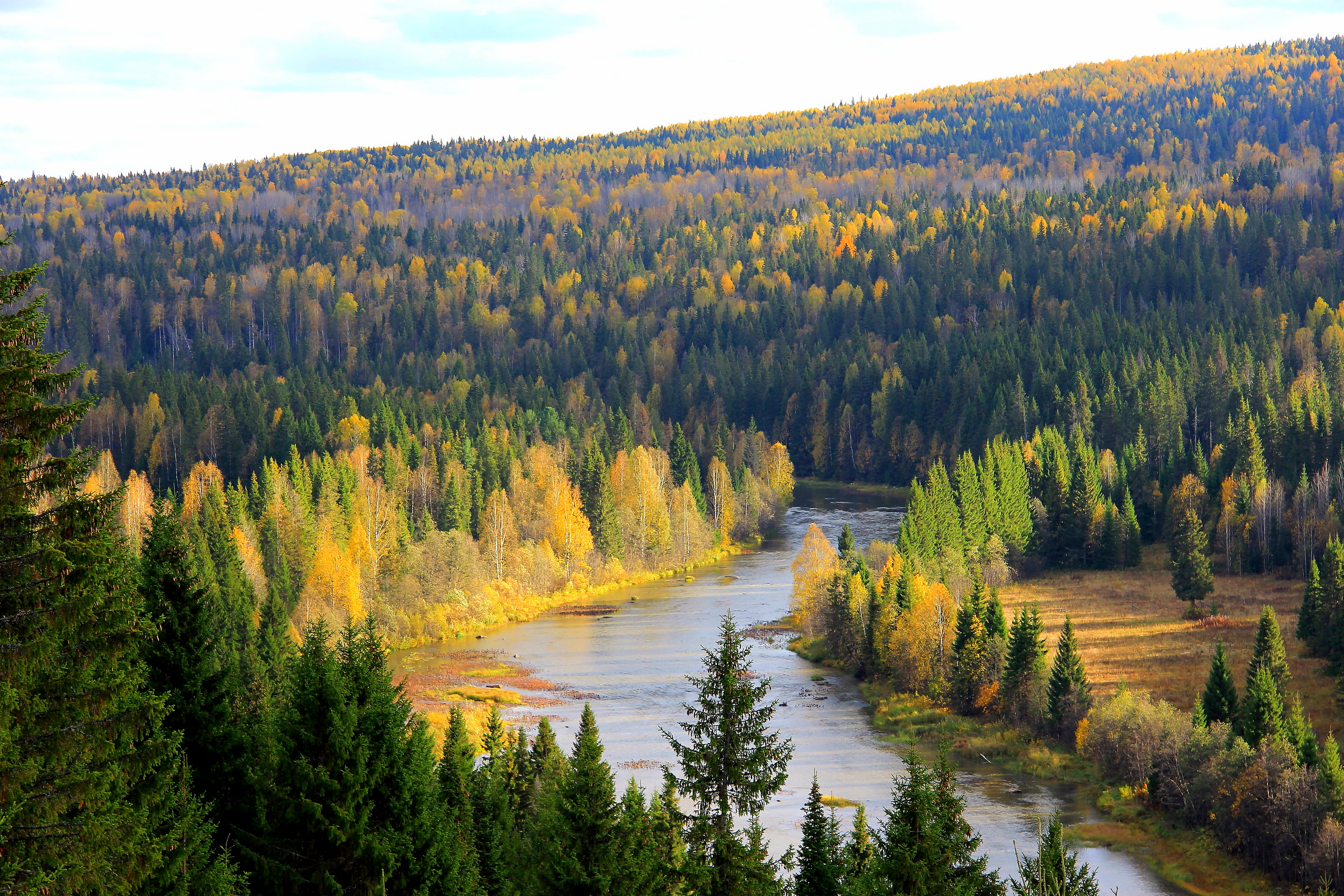 Койва Пермский край