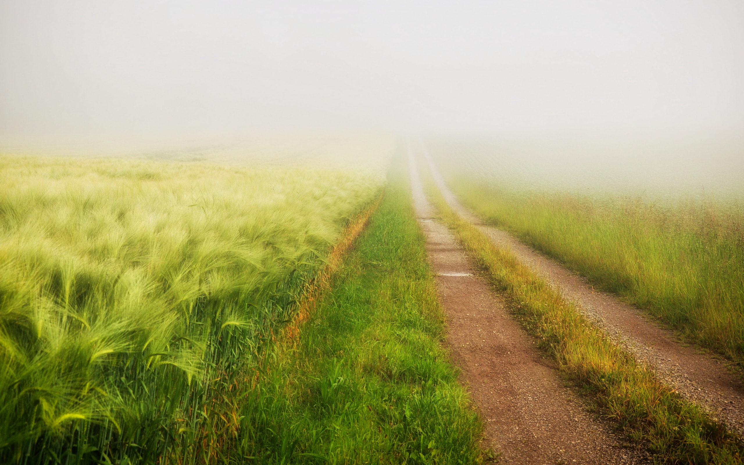 Route field. Летняя дорога. Тропинка в поле. Дорога с травой. Фон поле.