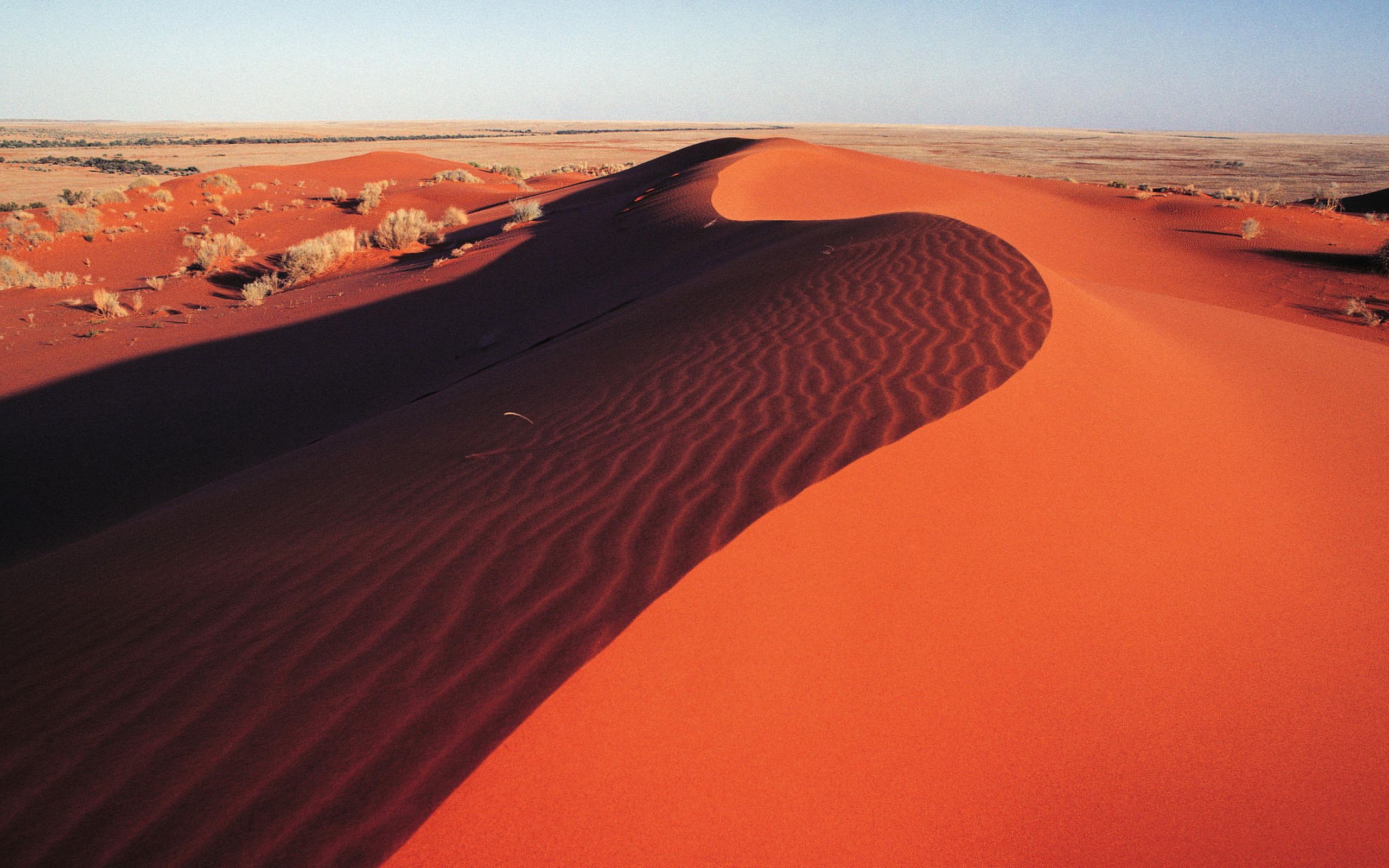 Самая крупная пустыня на земле. Большая Песчаная пустыня в Австралии. Пустыня Симпсона в Австралии. Симпсон Дезерт национальный парк Австралии.