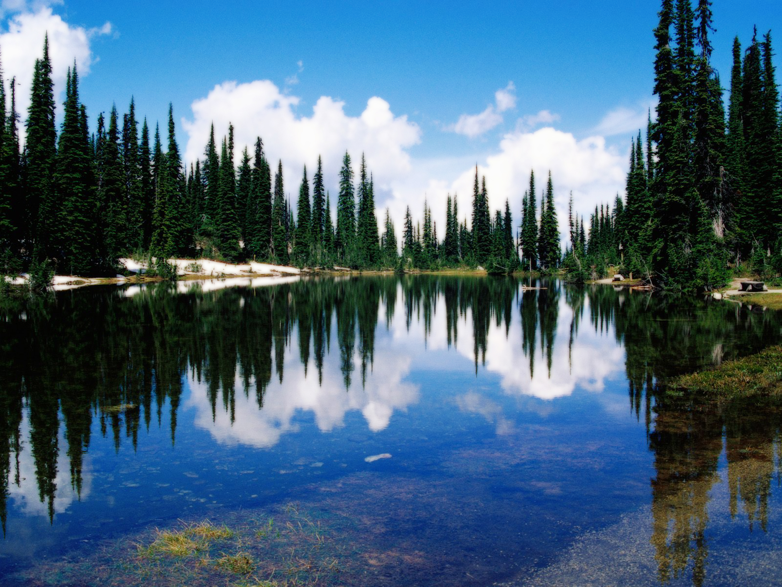 Живая вода озера. Национальный парк Вуд-Баффало Канада. Национальный парк Наханни Канада. Хвойные леса Йеллоустонского национального парка. Озеро в лесу.