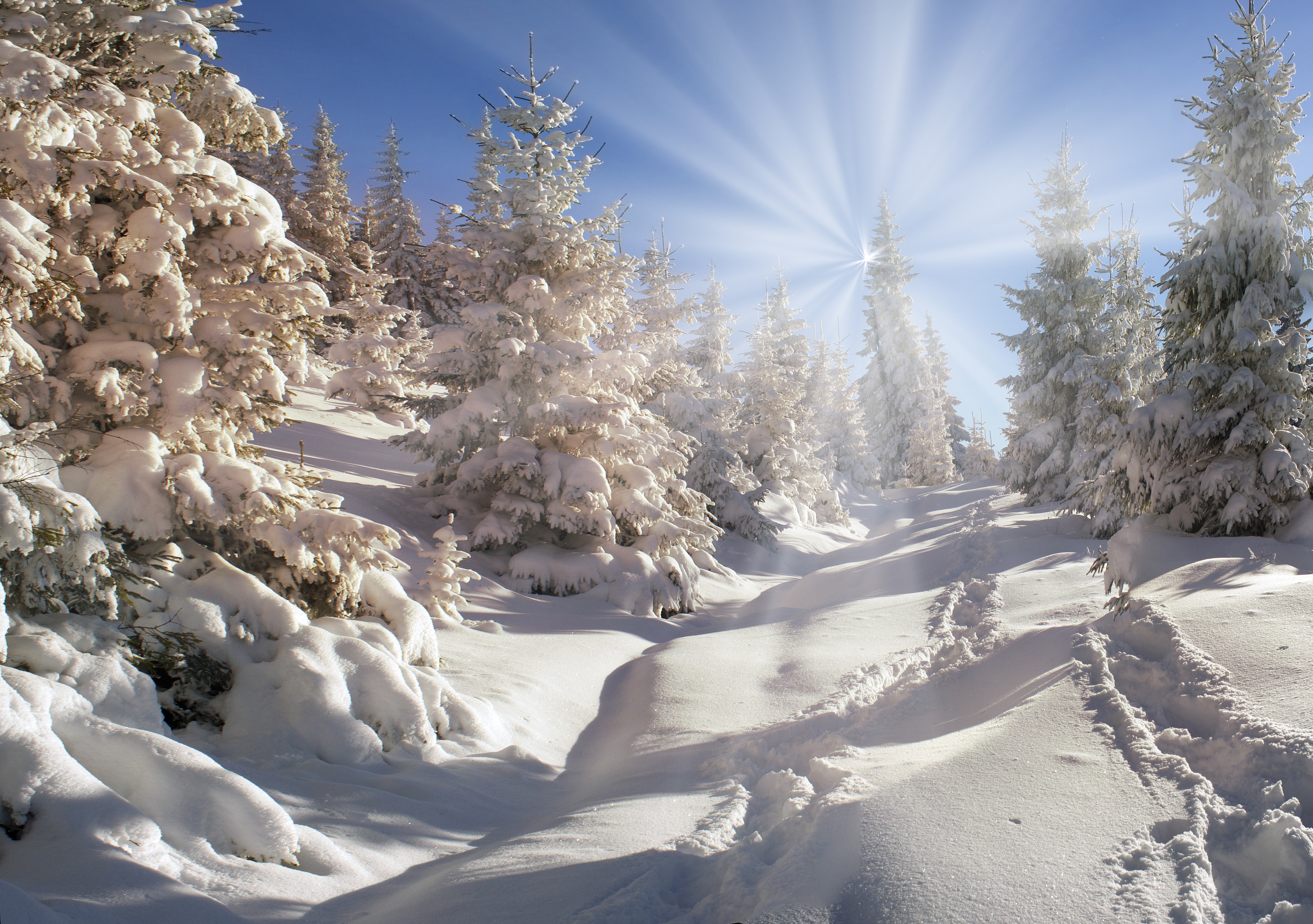 Зимнее снежное день. Красивая зима. Зимняя красота. Зима солнце. Зимний пейзаж.