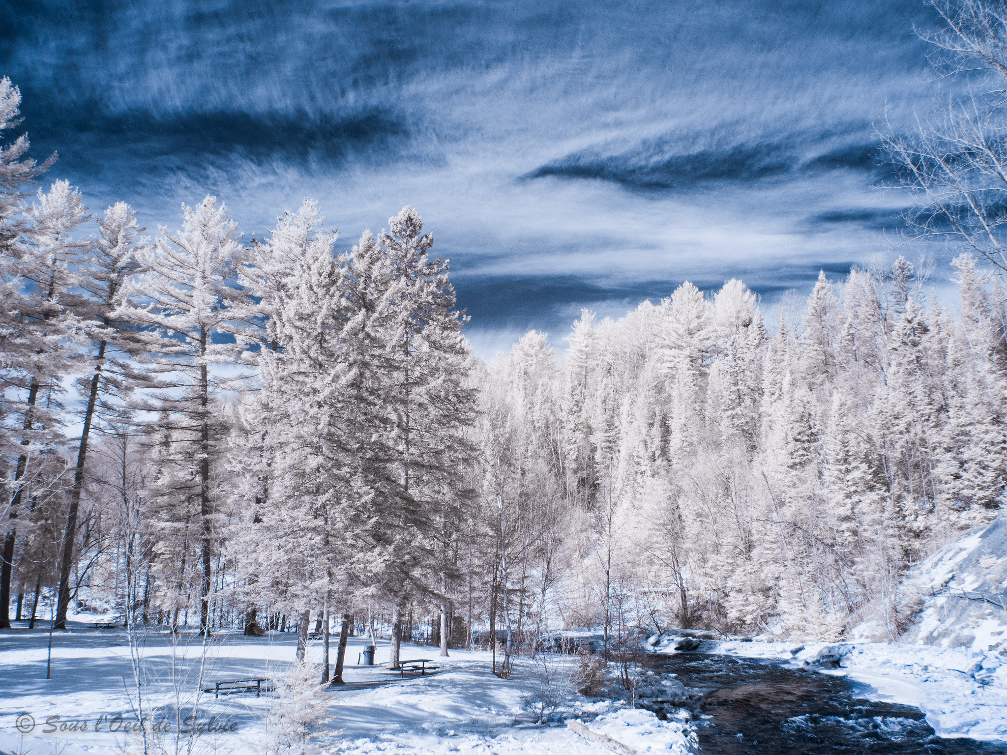 Видео природа зима. Зимний пейзаж. Заснеженные деревья. Змне пейзаж. Зимняя природа.