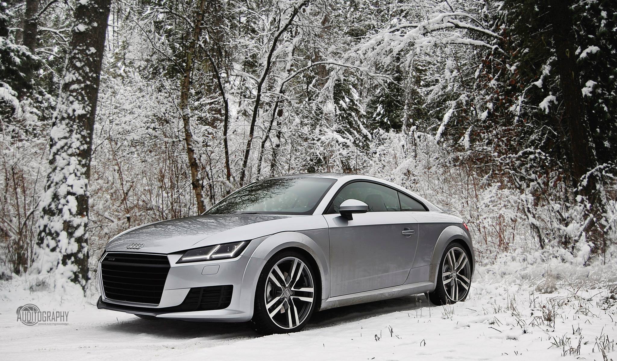 Audi РЅРѕРІС‹Р№ РіРѕРґ