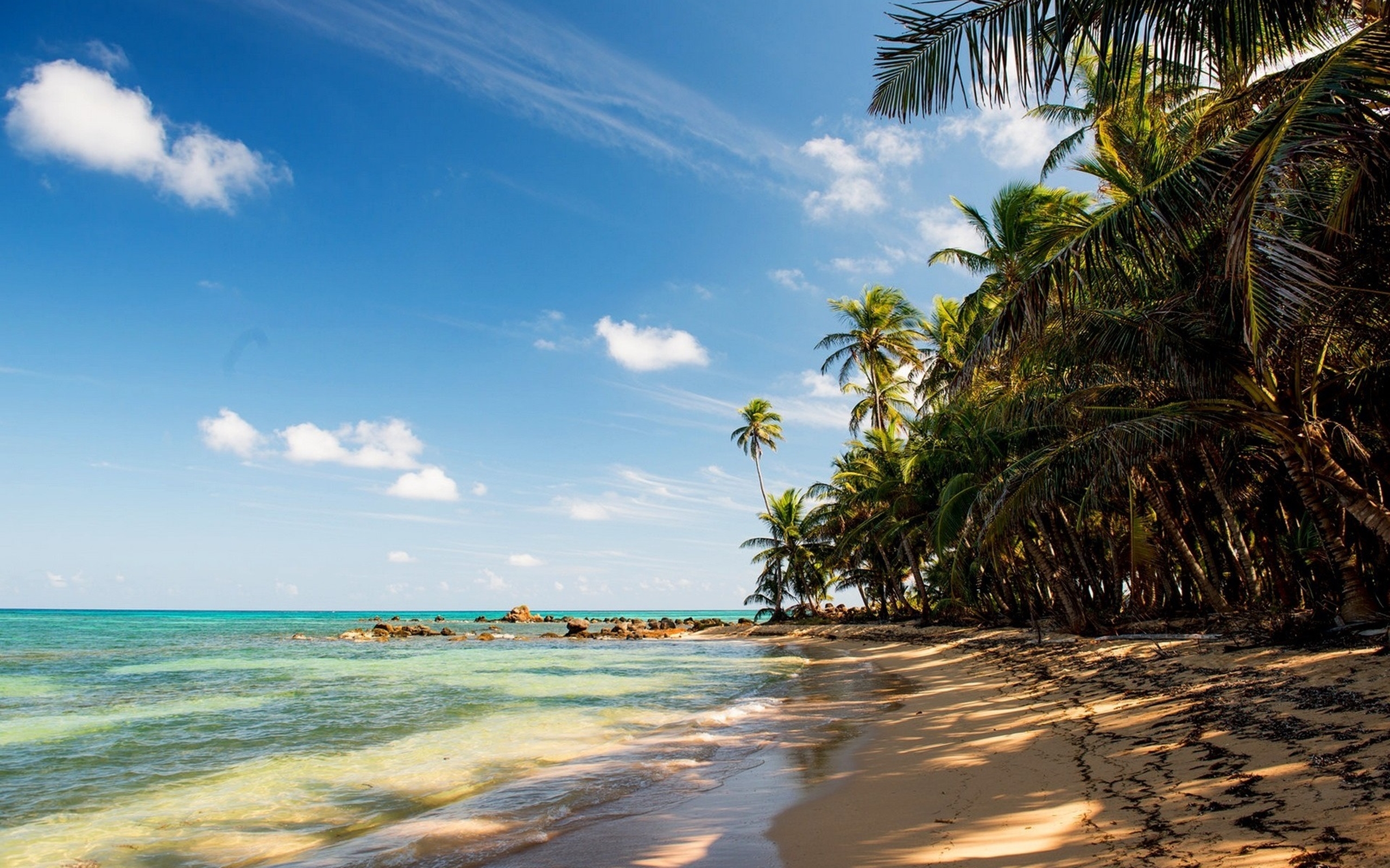 Palmeras bay. Море пляж. Тропики пляж. Пляж с пальмами. Обои пляж.