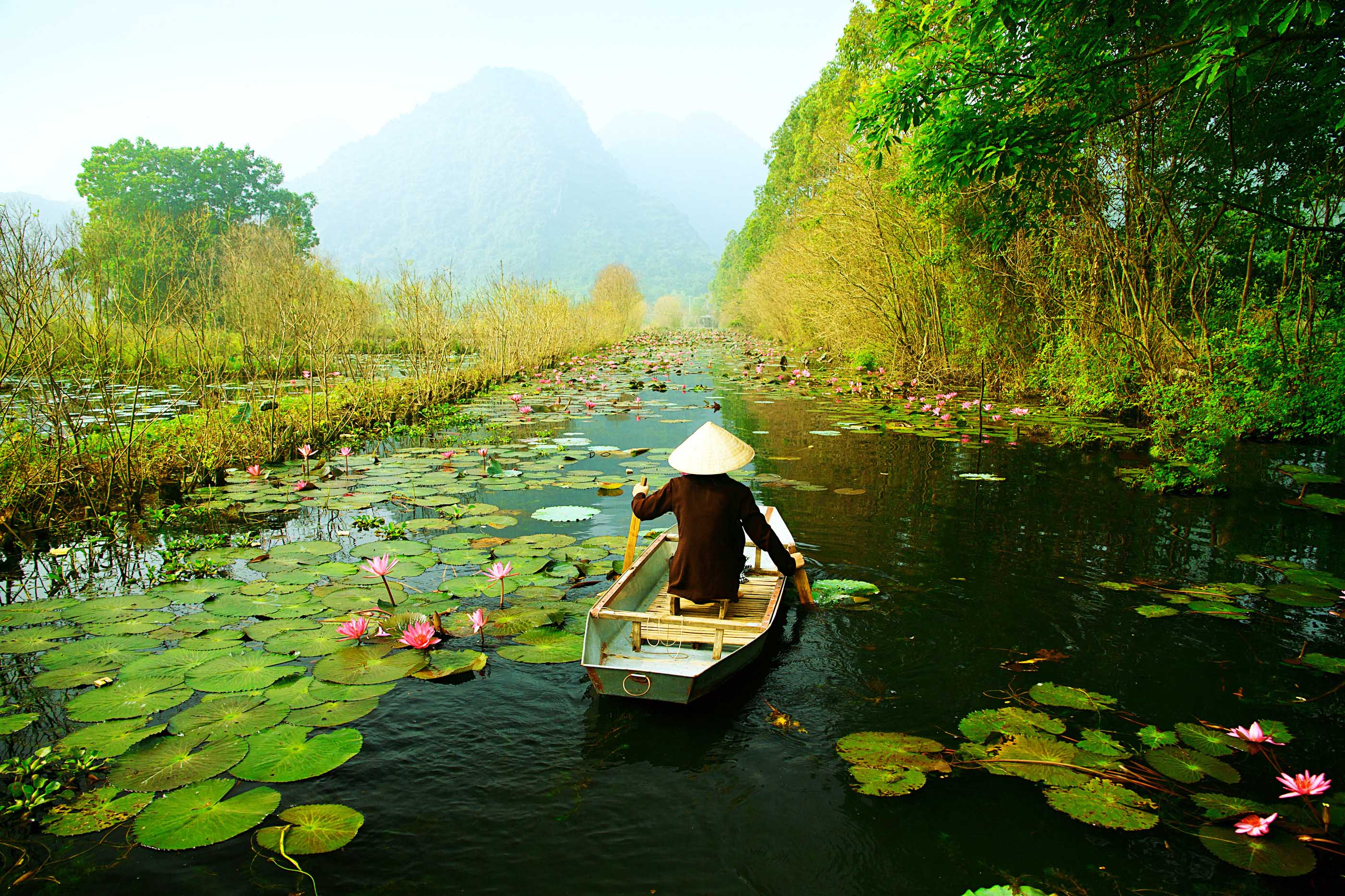 Природа вьетнама на