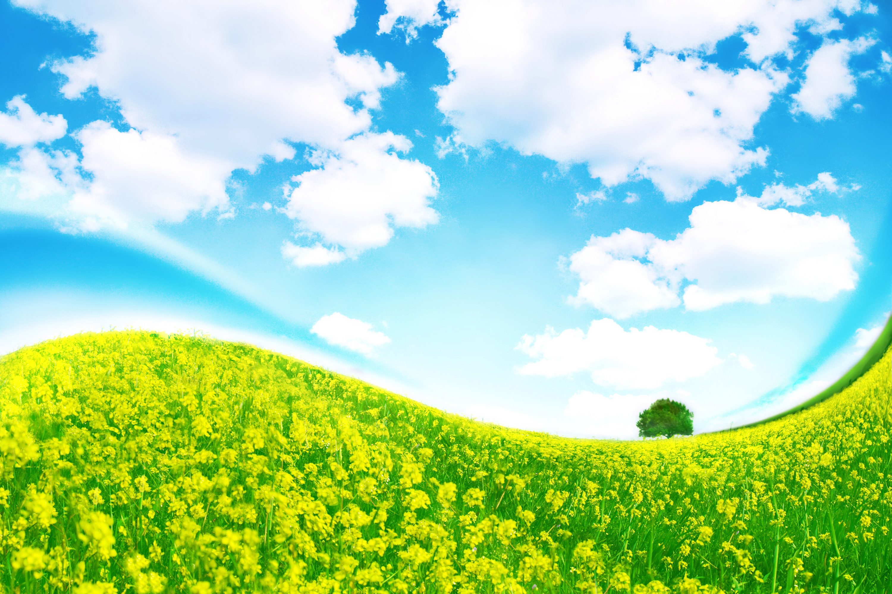 Песня голубое небо зеленая трава. Трава и небо. Летний пейзаж. Фон природа. Летний фон.