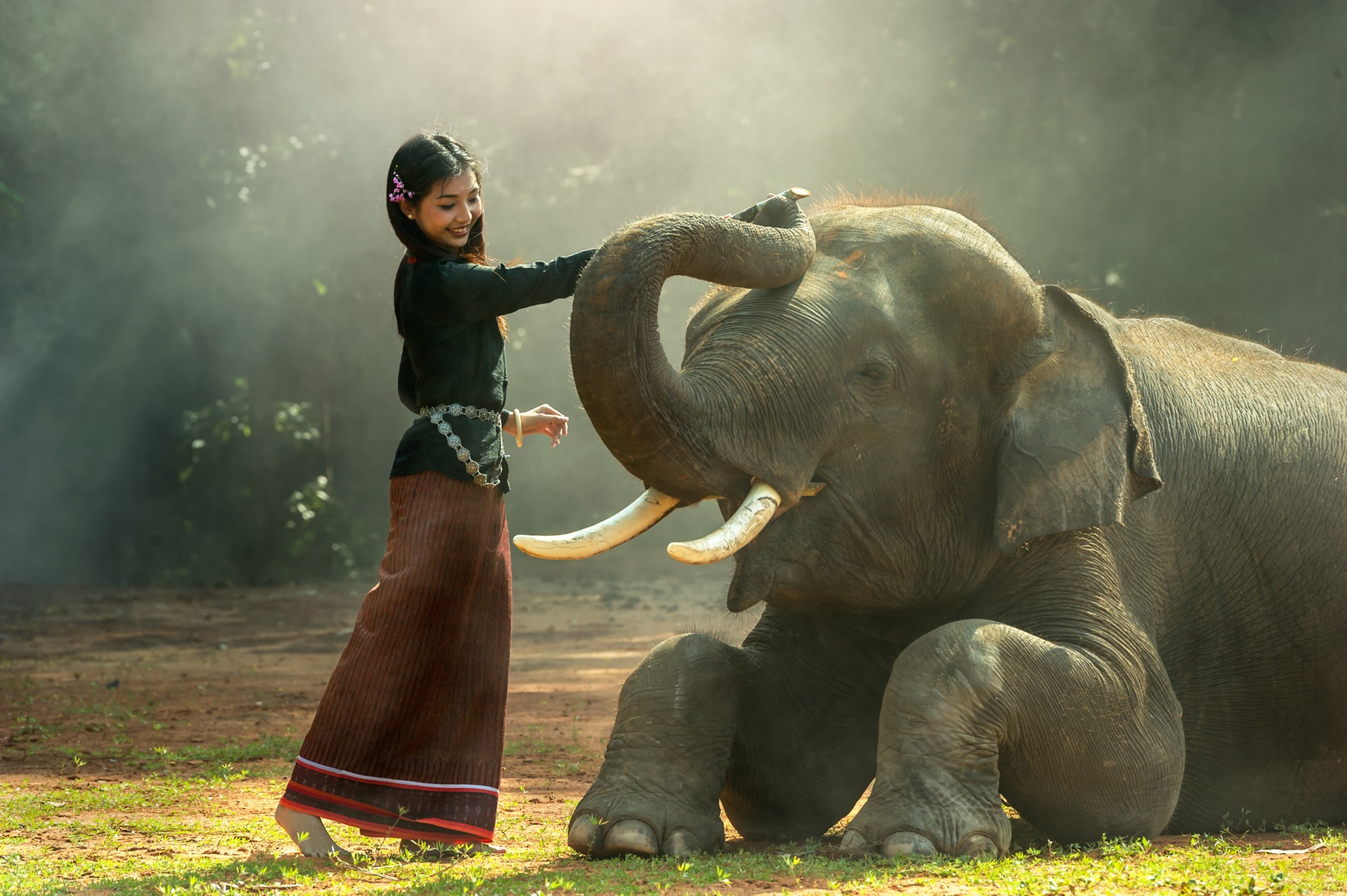 Девочка И Слон