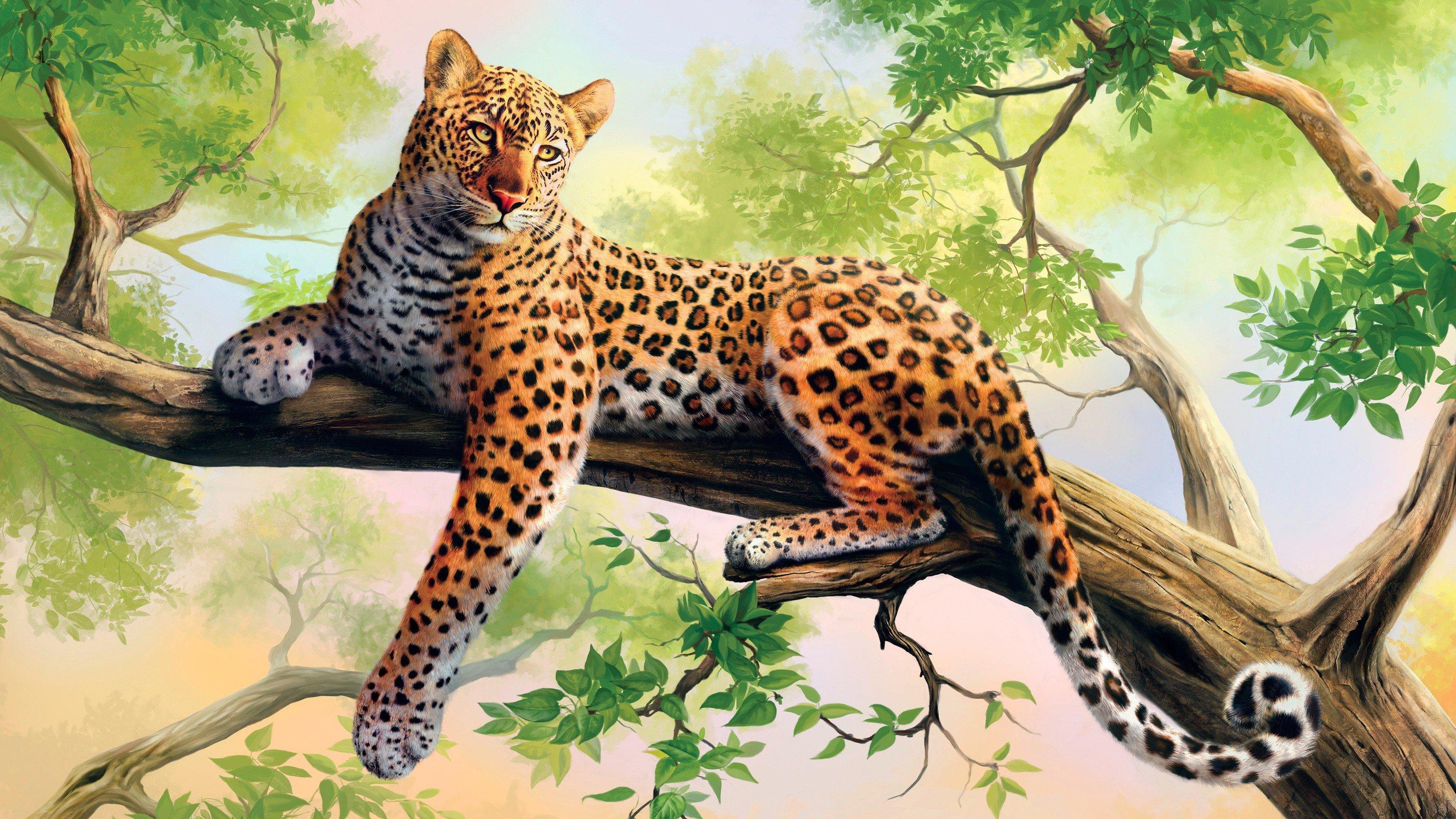 Animals images. Берберийский леопард. Алмазная мозаика леопард 40х50. Руссо леопард. Картина животные.