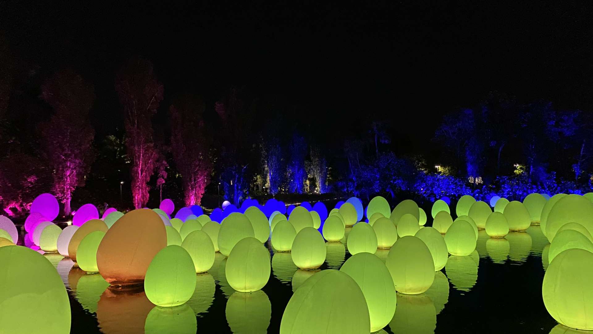 Обои Сингапур, свет, физика, наука, ночь в разрешении 1920x1080