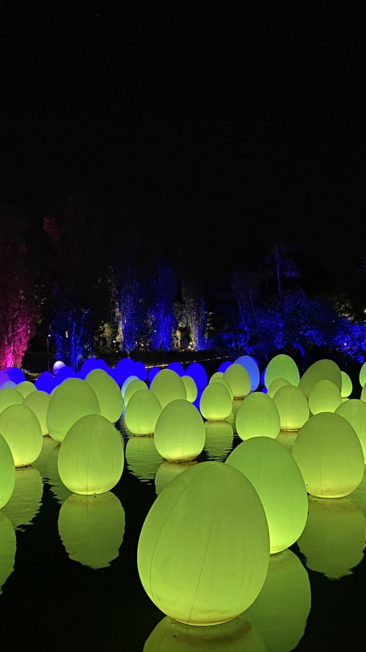 Обои Сингапур, свет, физика, наука, ночь в разрешении 720x1280