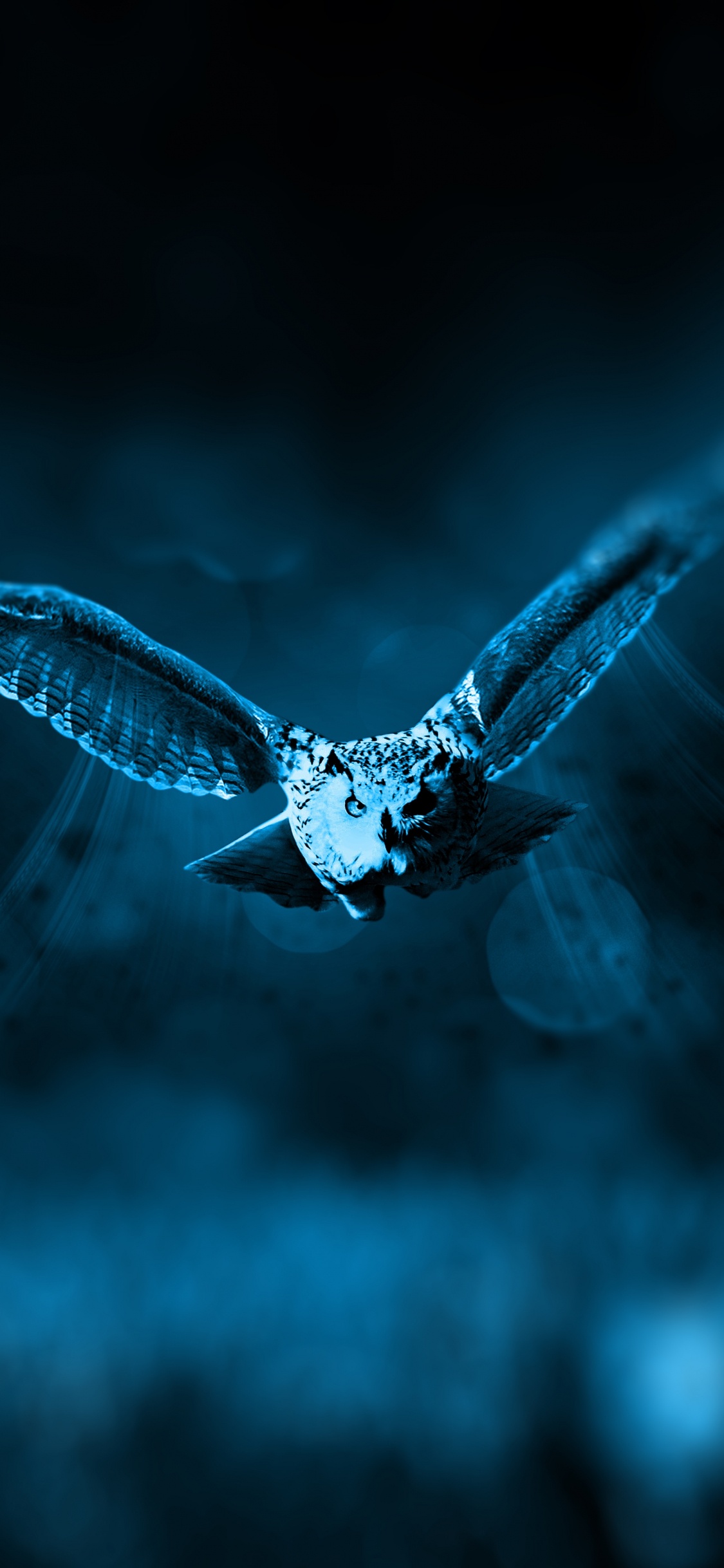 Обои сипуха, синий, вода, природа, черный в разрешении 1125x2436