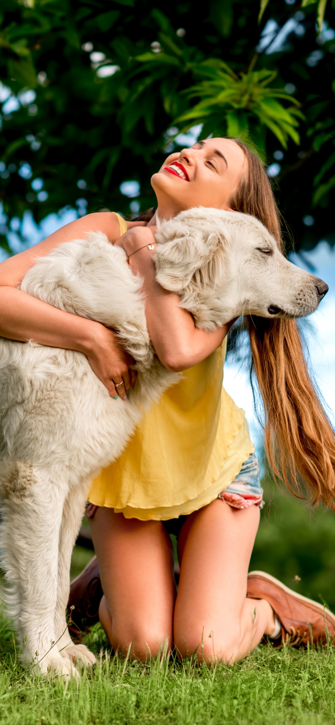 Обои маремма овчарка, собака породы, пастушья собака, забава, трава в разрешении 1125x2436