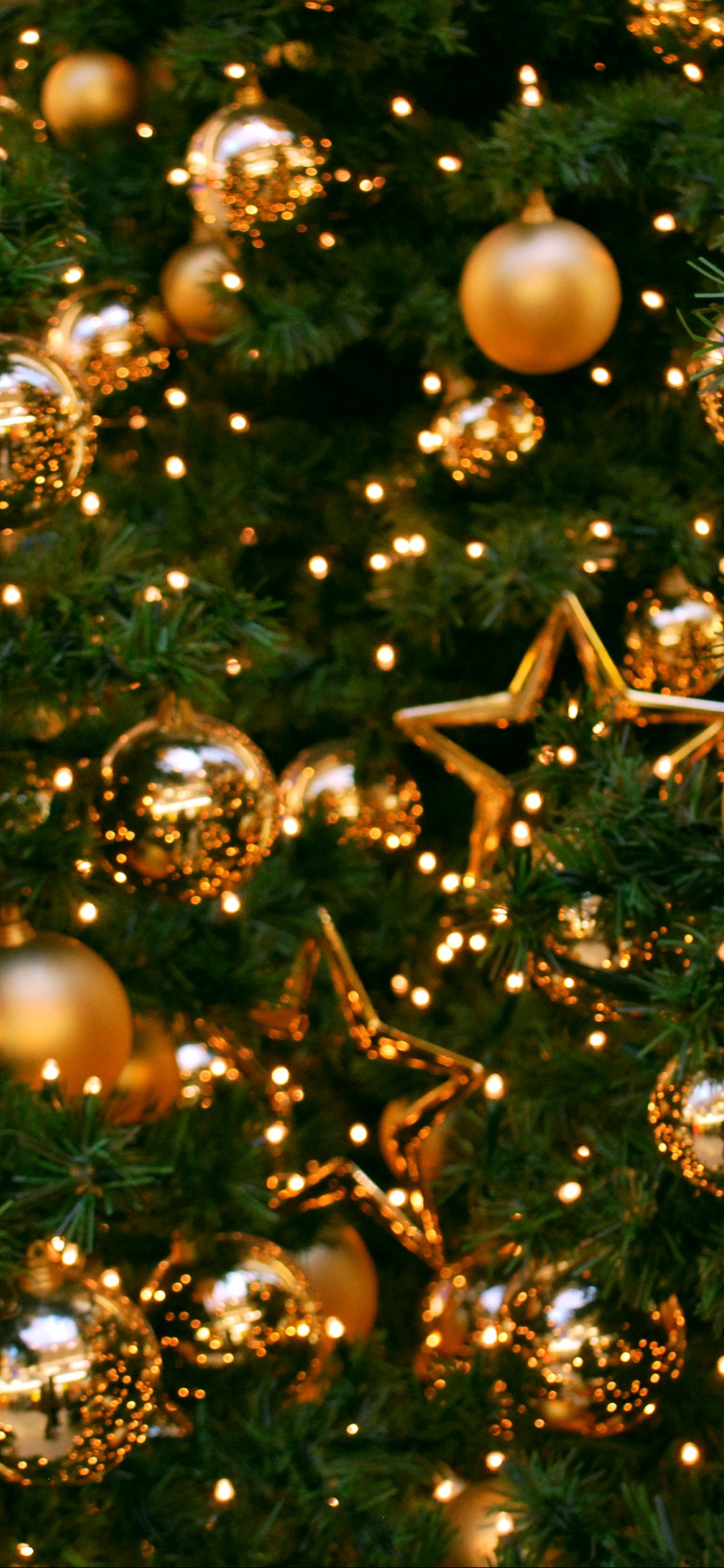 Обои елка, Рождественский день, праздник, рождественский орнамент, Новый год в разрешении 1125x2436