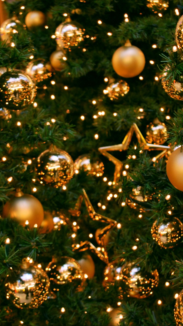 Обои елка, Рождественский день, праздник, рождественский орнамент, Новый год в разрешении 720x1280