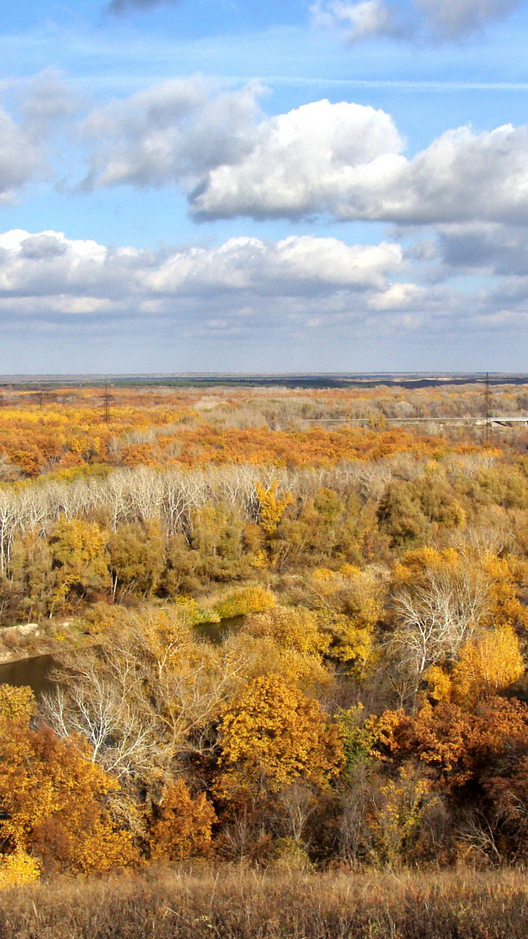 Обои прерия, экорегион, тундра, дикая местность, откос в разрешении 750x1334