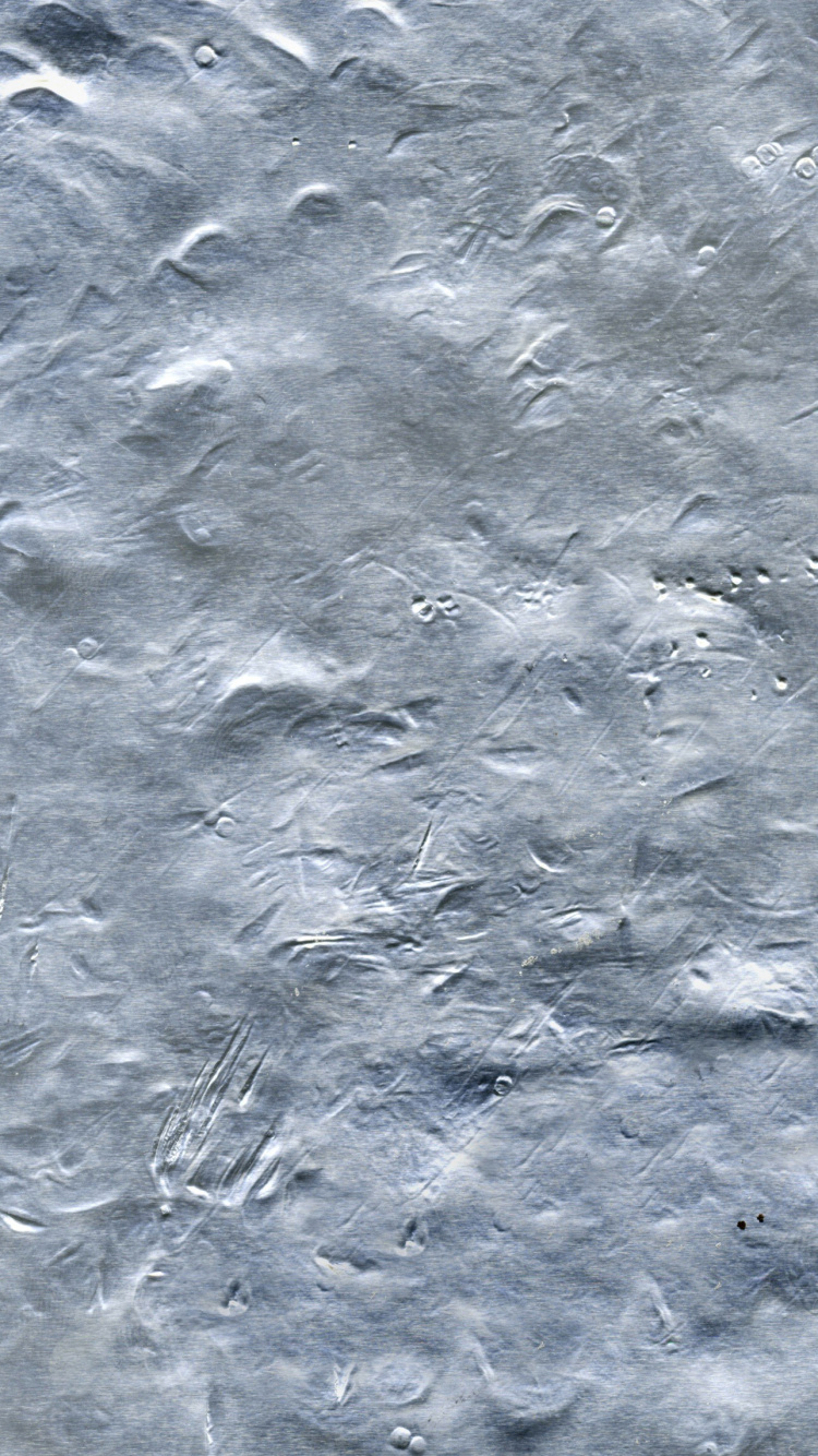 Обои металл, монохромный, замораживание, ржавчина, монохромный режим в разрешении 750x1334