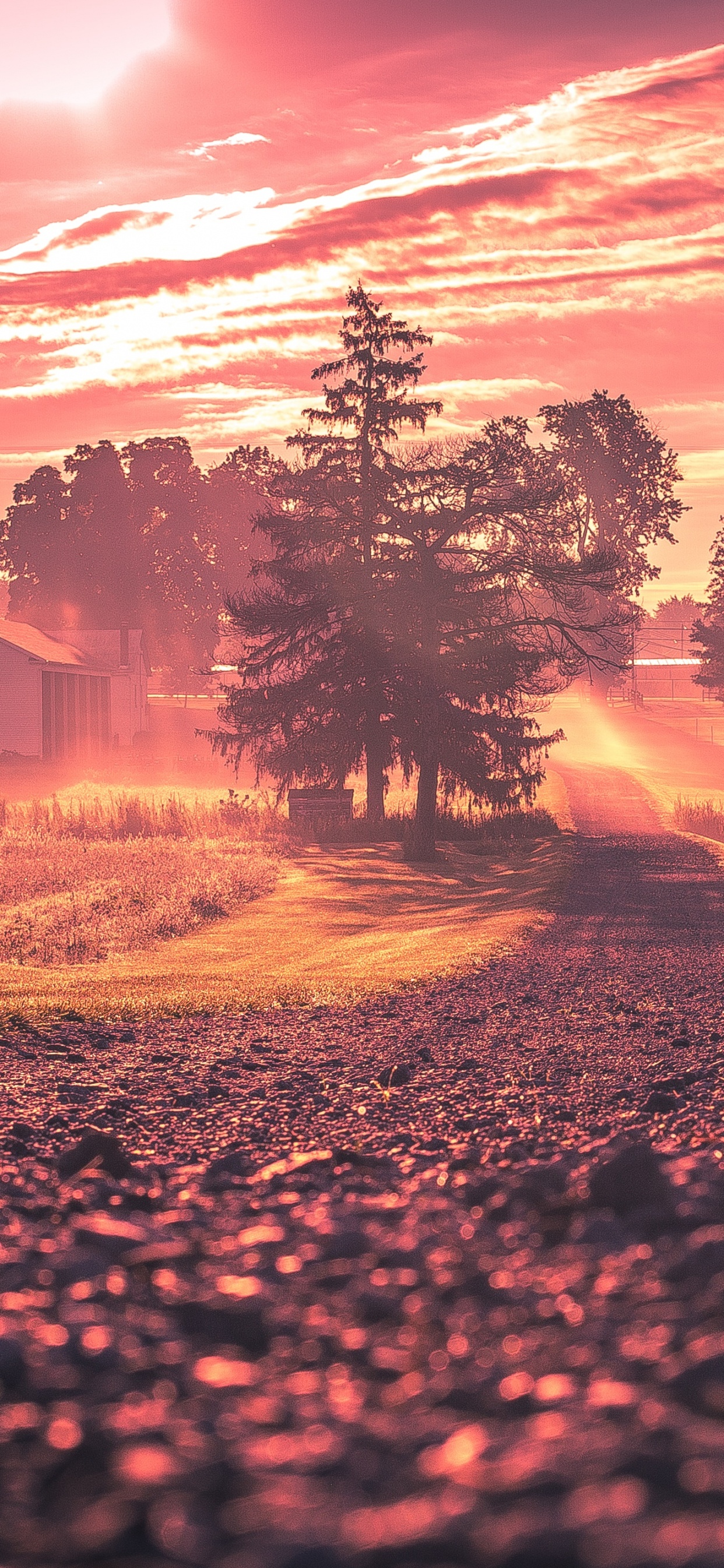 Обои восход солнца, закат, природа, природный ландшафт, облако в разрешении 1242x2688