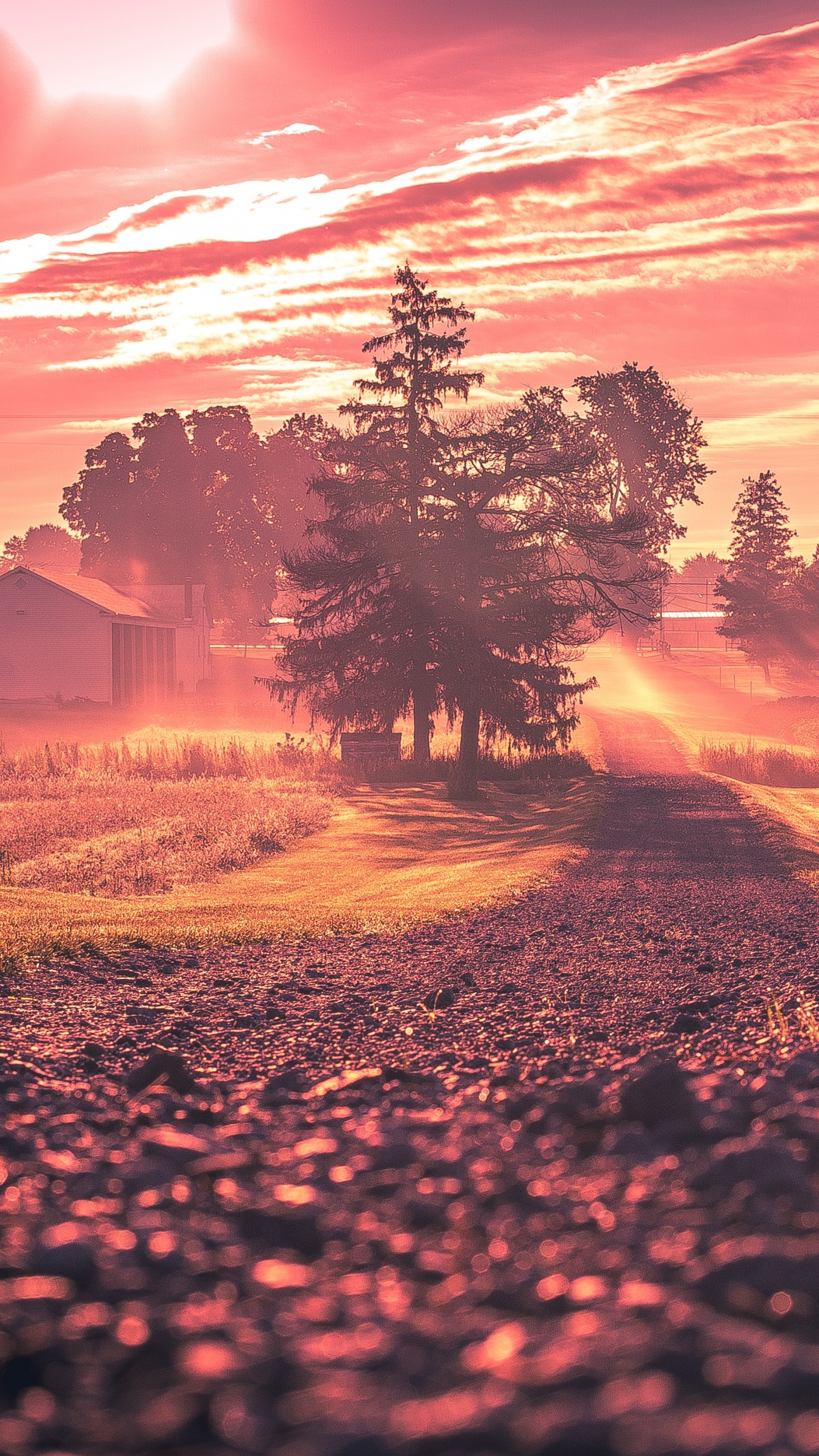 Обои восход солнца, закат, природа, природный ландшафт, облако в разрешении 1440x2560