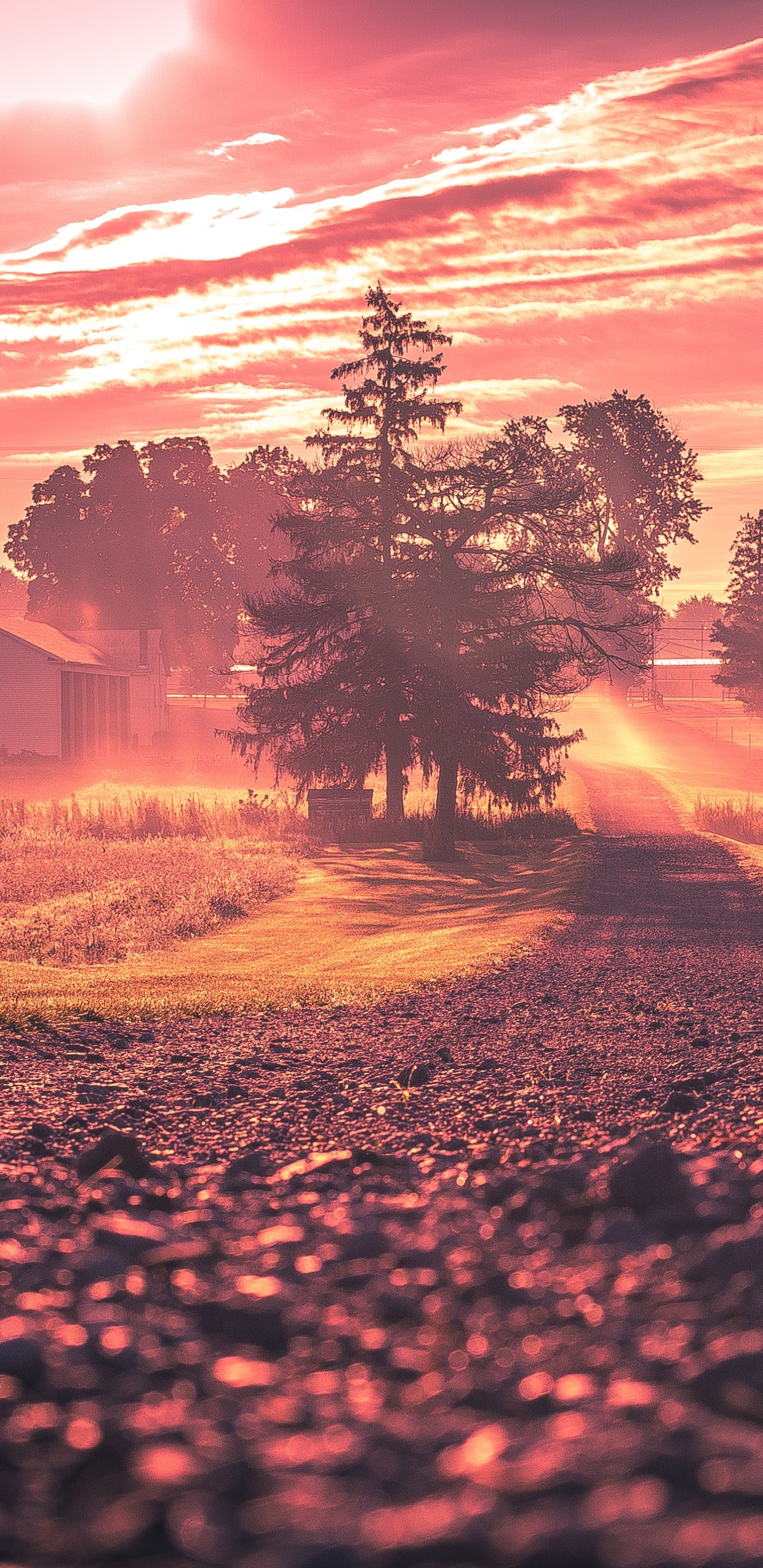 Обои восход солнца, закат, природа, природный ландшафт, облако в разрешении 1440x2960