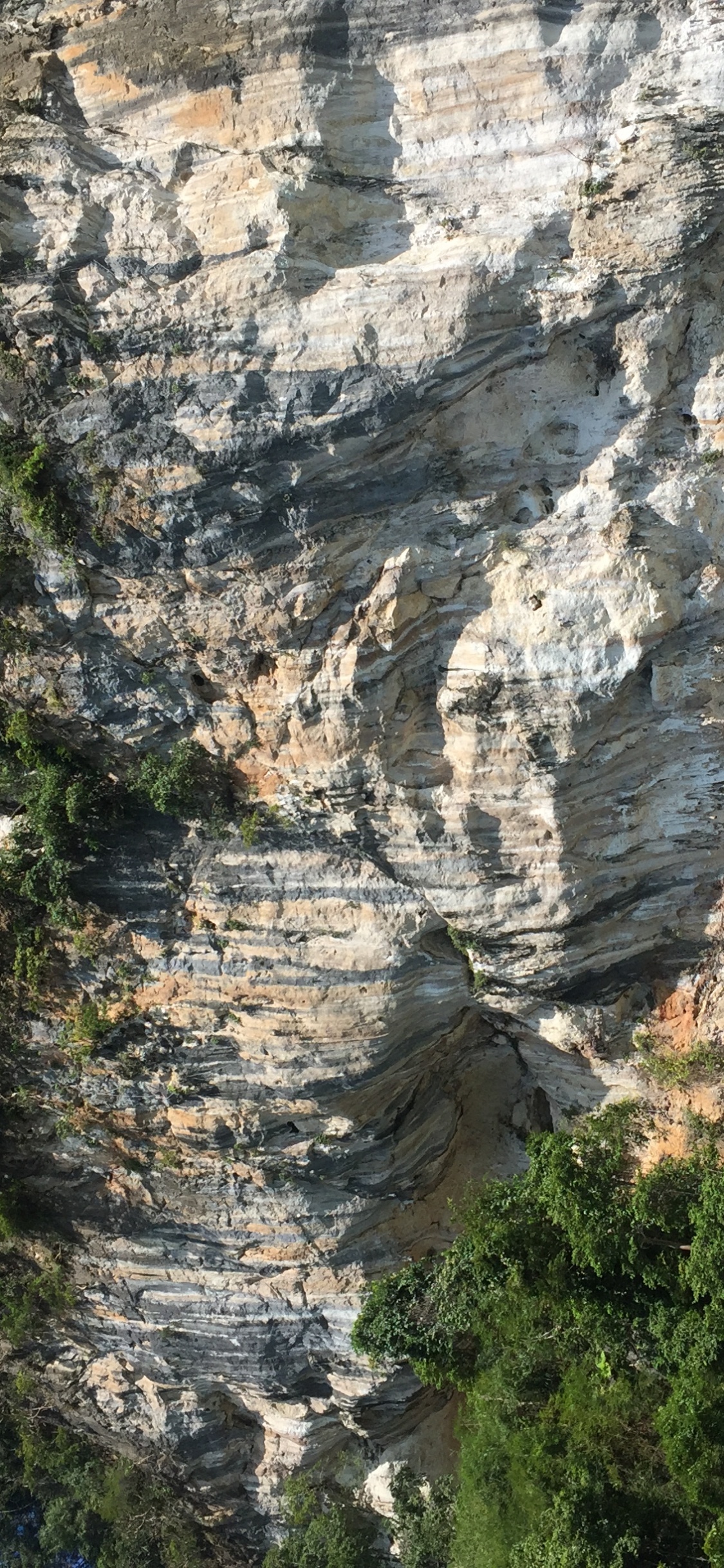 Обои природный заповедник, обнажение, геология, вода, растительность в разрешении 1125x2436