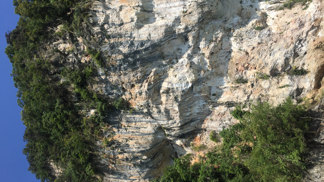 Обои природный заповедник, обнажение, геология, вода, растительность в разрешении 1366x768