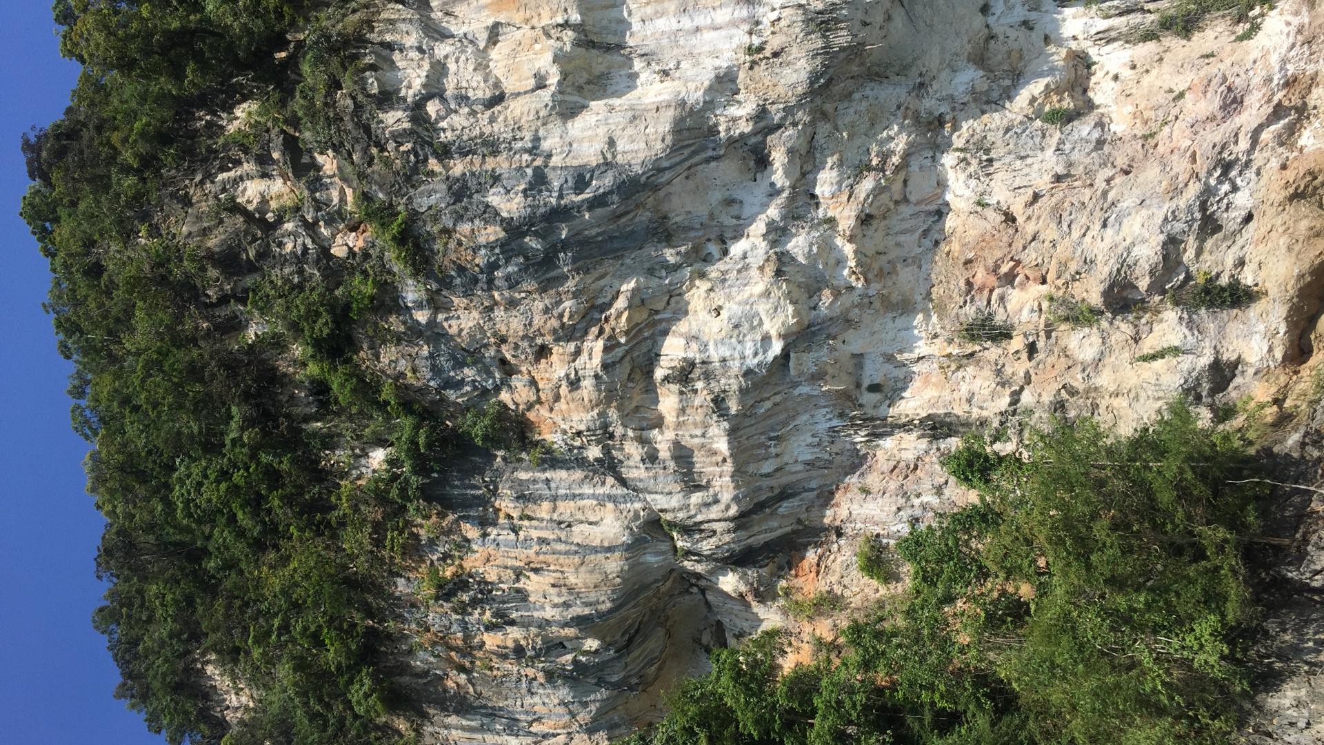 Обои природный заповедник, обнажение, геология, вода, растительность в разрешении 1920x1080