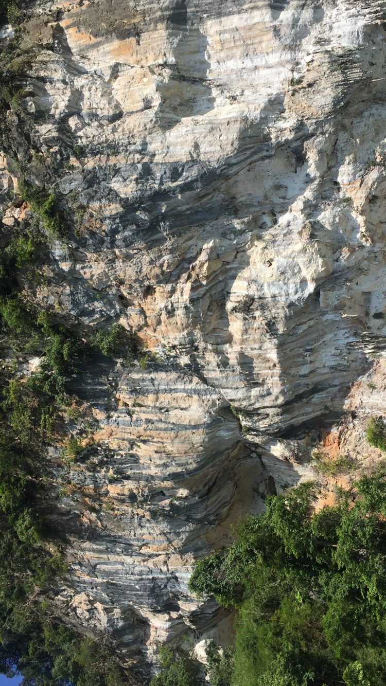 Обои природный заповедник, обнажение, геология, вода, растительность в разрешении 750x1334