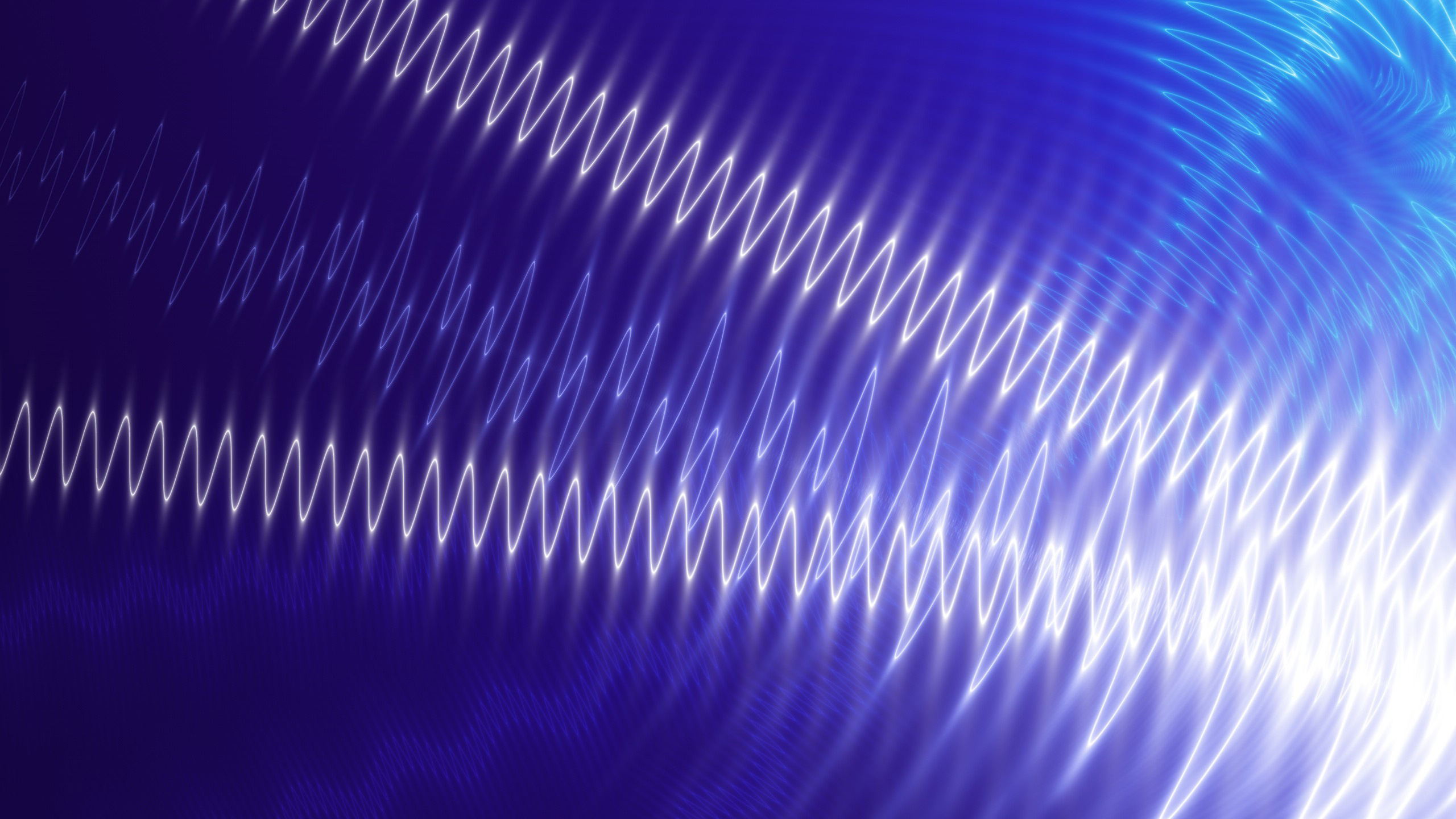 Обои синий, пурпур, электрик, свет, синий цвет в разрешении 2560x1440