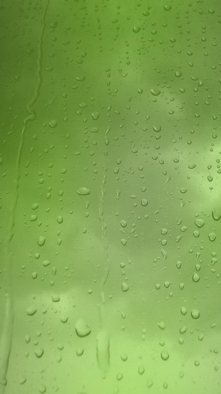 Обои зеленый дождь, дождь, зеленый, вода, влага в разрешении 750x1334