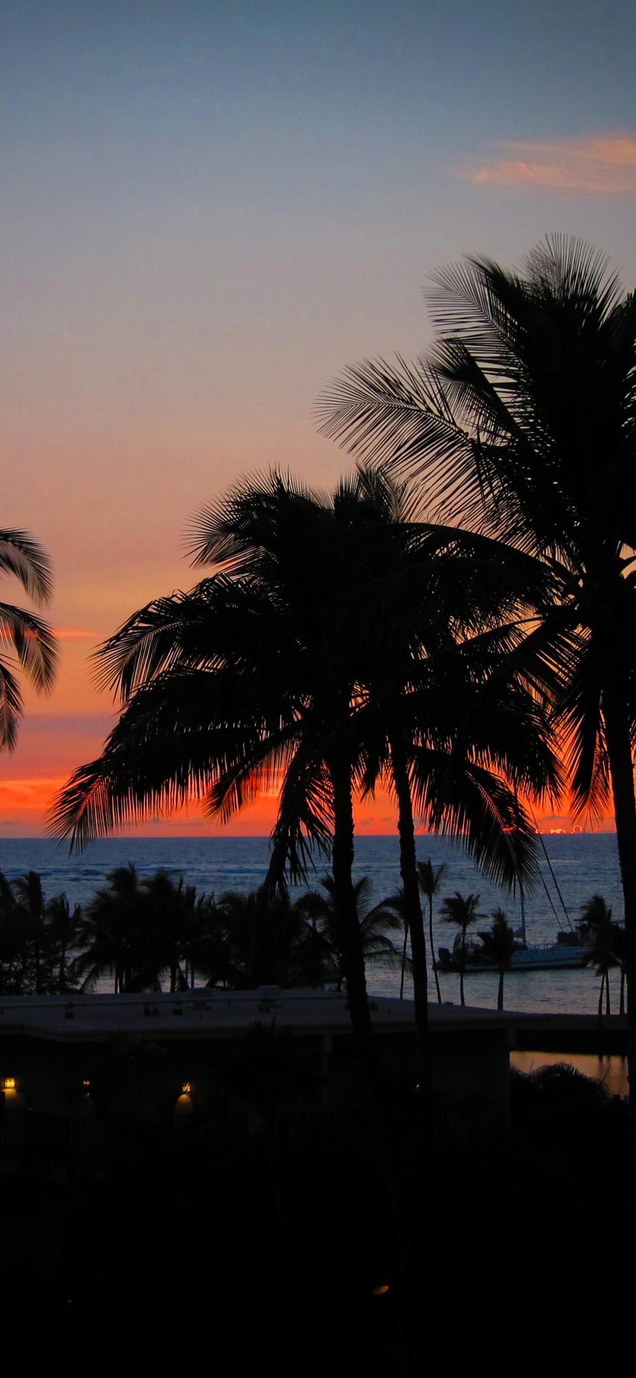 Обои закат, пляж, дерево, Пальма, вечер в разрешении 1242x2688