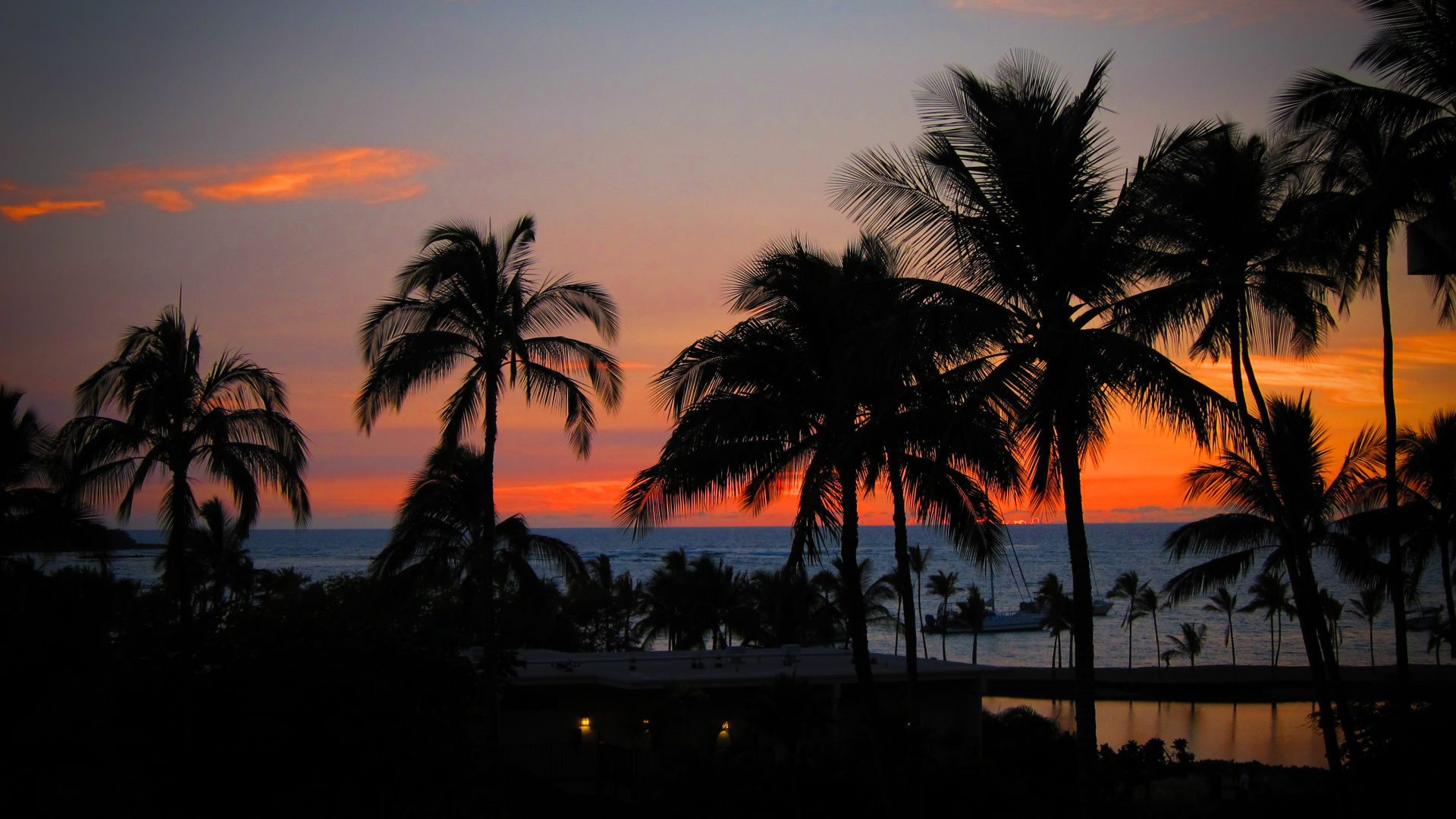Обои закат, пляж, дерево, Пальма, вечер в разрешении 1920x1080